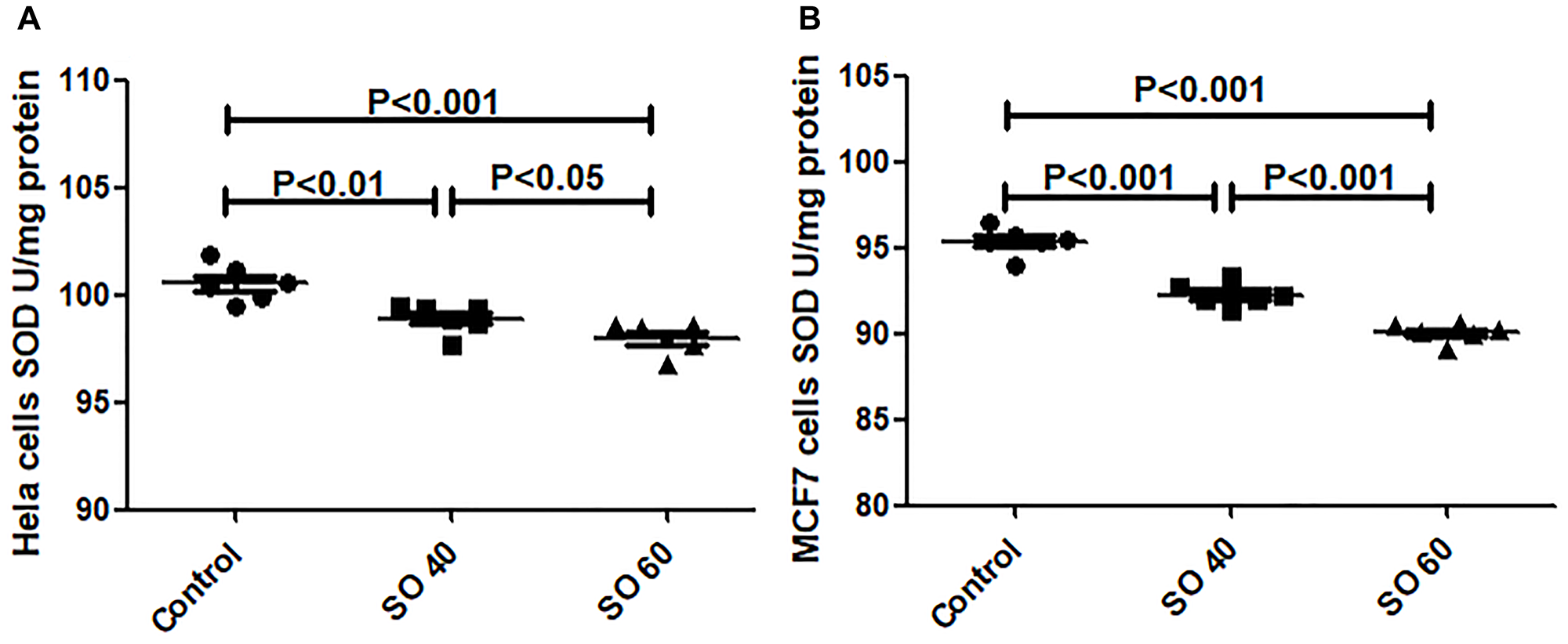 Anti-oxidant activity of SOD in SO-treated HeLa (A) and MCF-7 (B) cell lines.