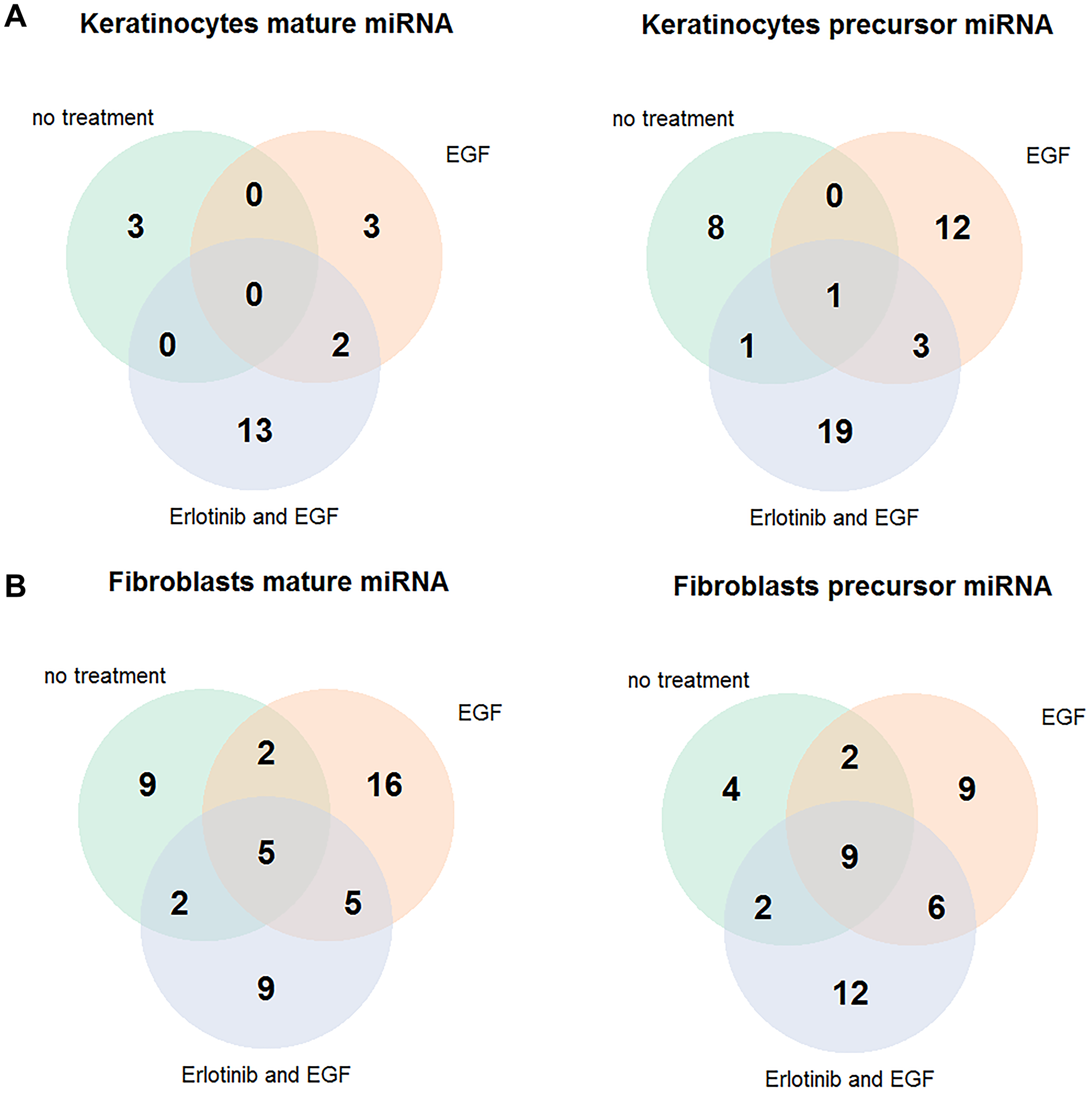 Erlotinib-sensitive keratinocytes and fibroblasts express a different miRNA pattern than those insensitive to erlotinib
