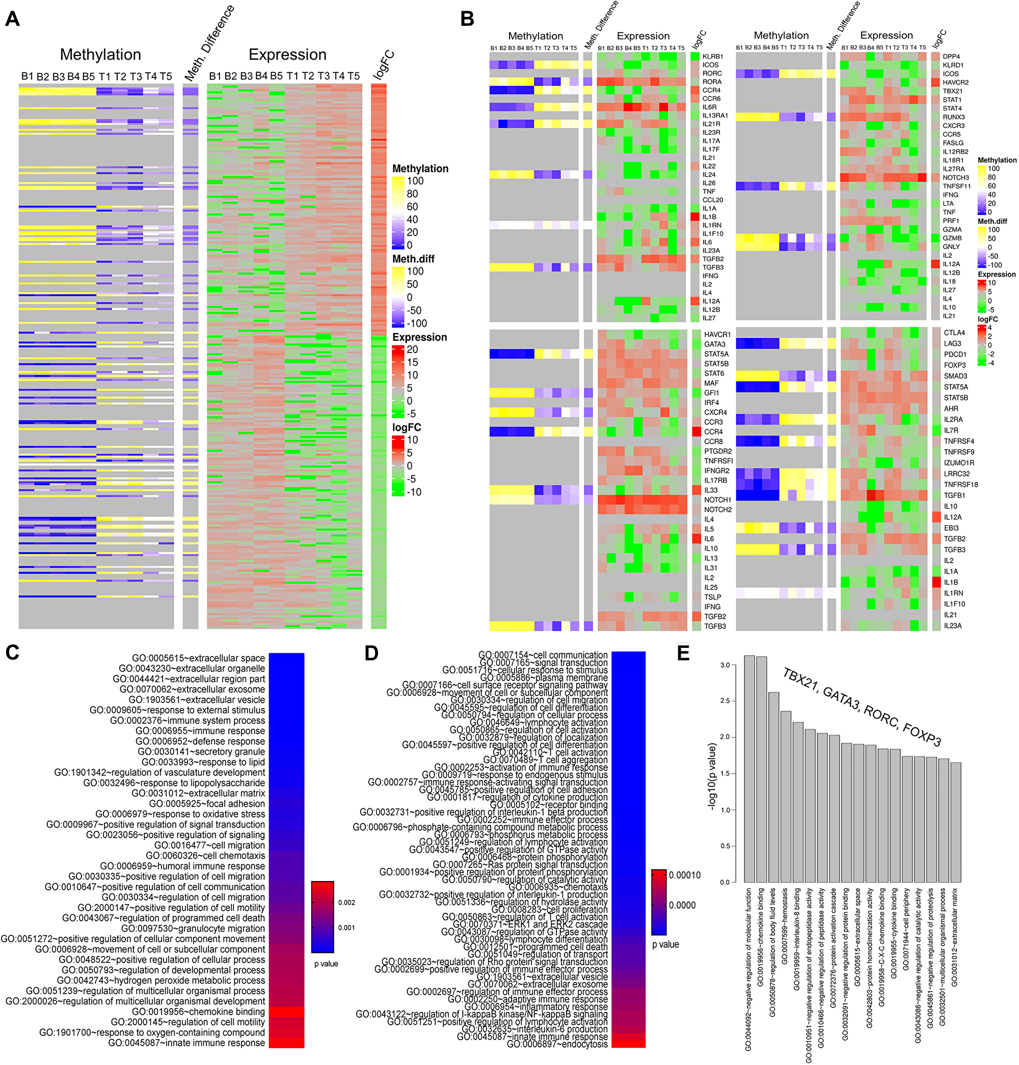Epigenetic landscape of tumor infiltrating CD4+ T cells: focus on genes related to specific subpopulations