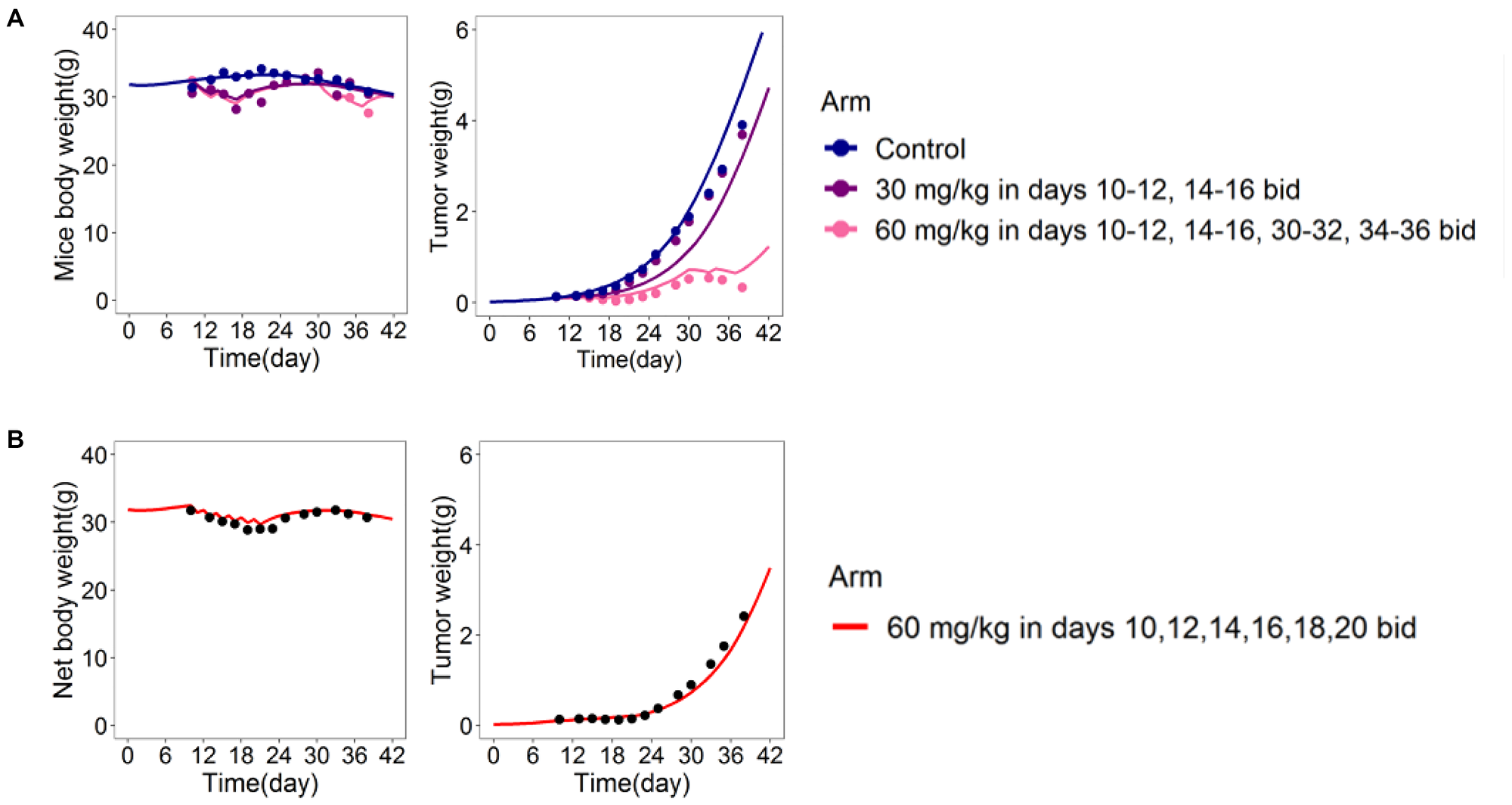 DEB-based tumor-in-host model predictive power assessed in xenograft mice [16]