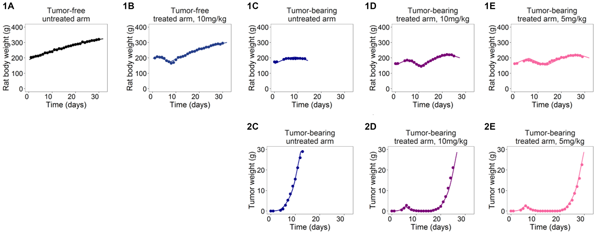 Plots with average measures (dots) and typical model predictions (lines) for host body (1A–1E) and tumor weight (2C–2E) curves in the five arms of Etoposide studies on Wistar Rats [15].