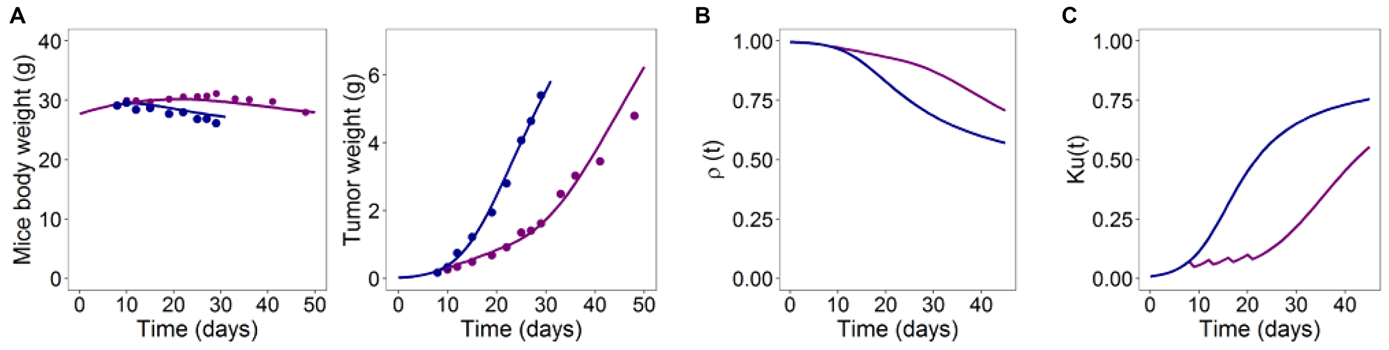(A) Typical model predictions (lines) for mice body and tumor weight curves together with average observed data (dots) for control (blue) and treated arms (purple). (B) Time course of host assimilation. (C) Time course of the energy fraction ku(t) [14].