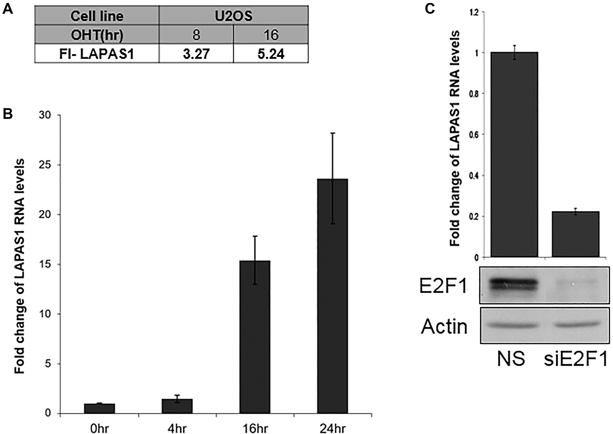 E2F1 regulates LAPAS1 RNA levels