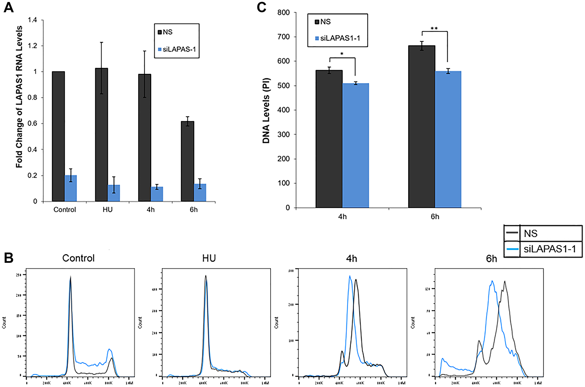 Silencing of LAPAS1 in G1-synchronized U2OS cells results in slower progression through S phase