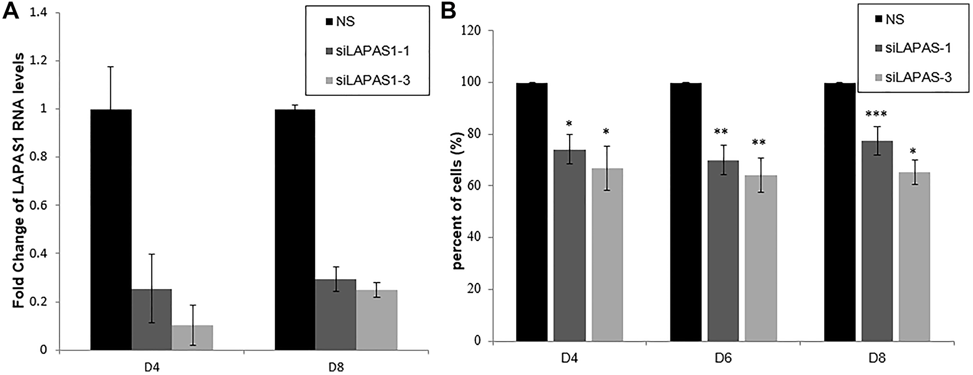 Prolonged silencing of LAPAS1 inhibits cell proliferation