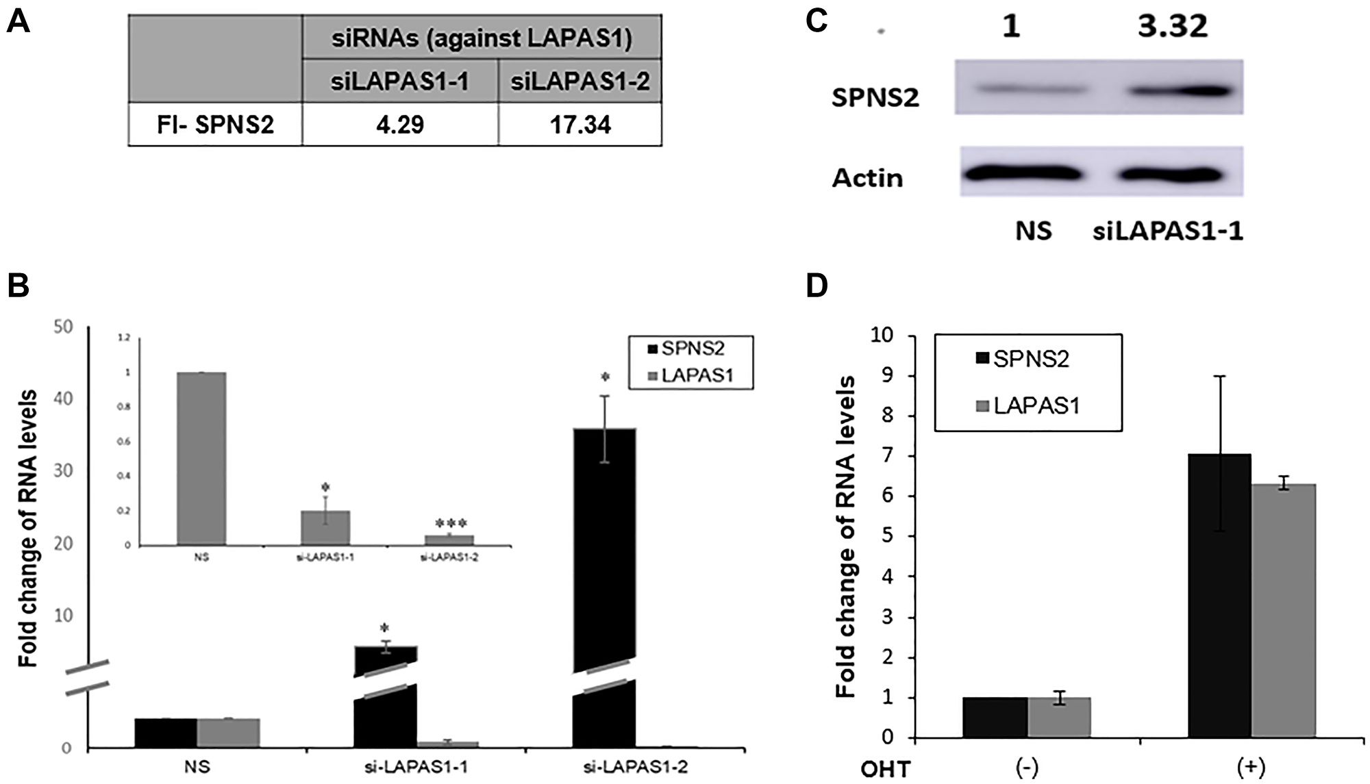 SPNS2 levels increase following LAPAS1 silencing or E2F1 activation