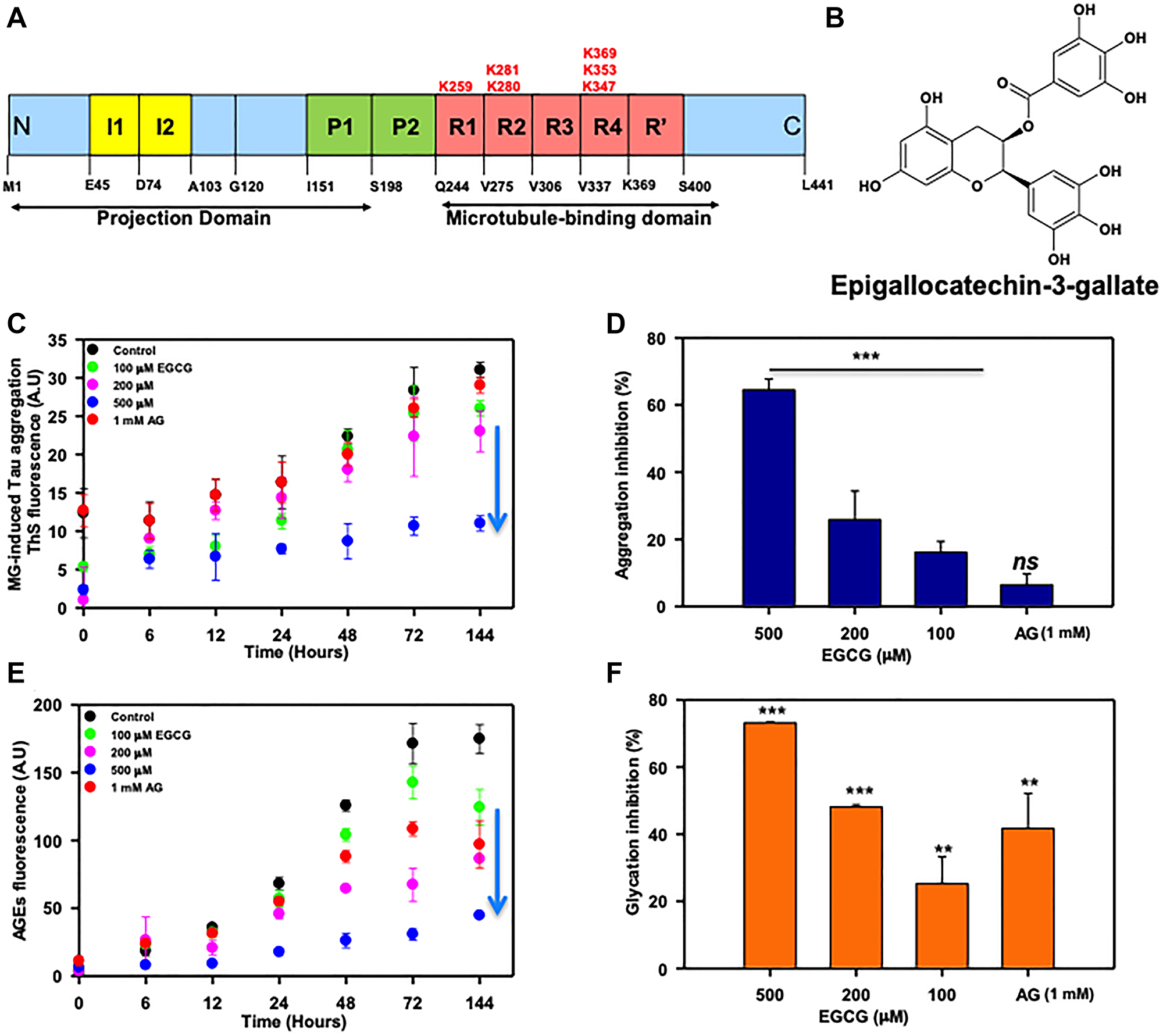 EGCG inhibits Tau glycation
