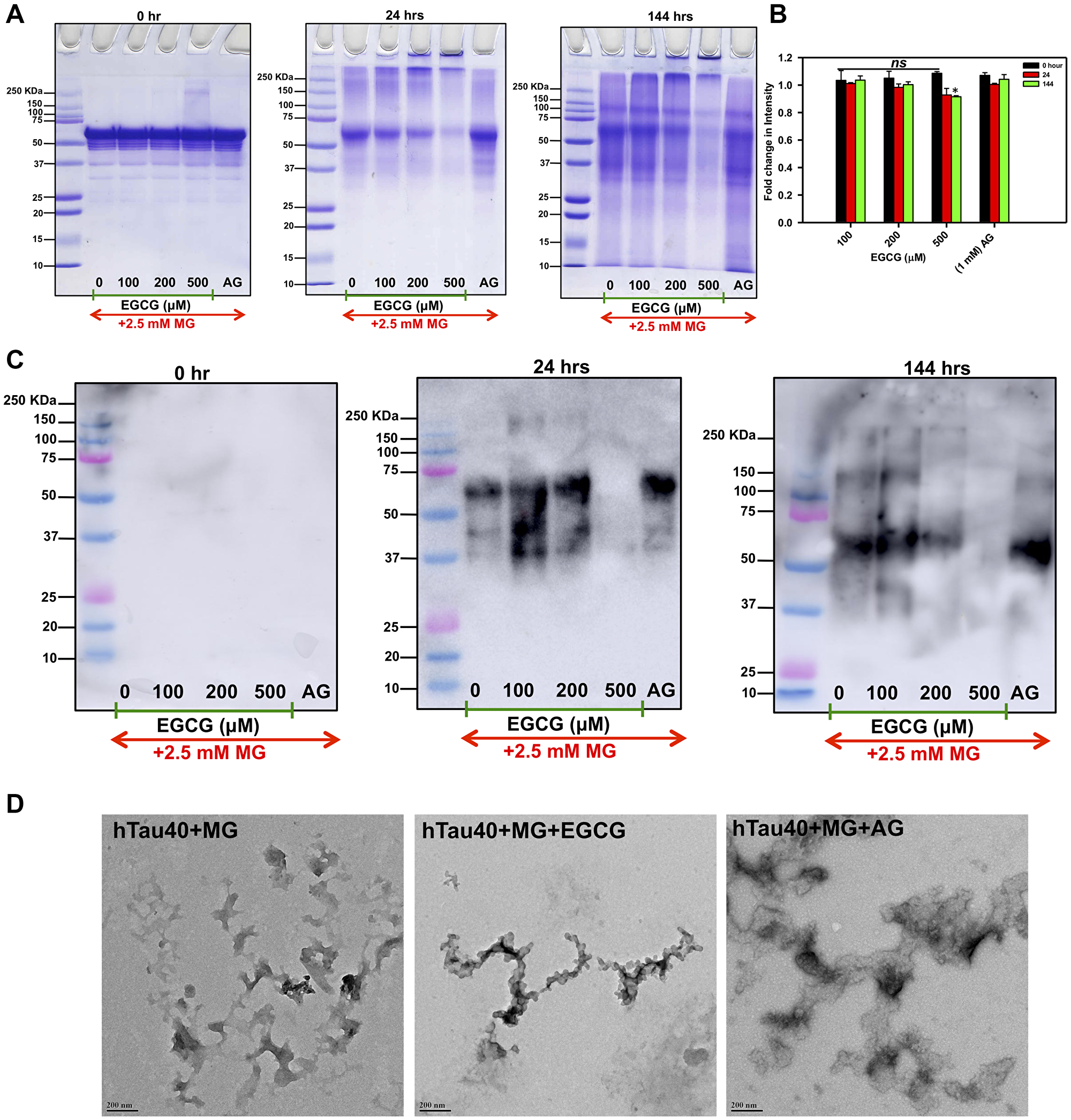Inhibition of SDS-resistant Tau glycation