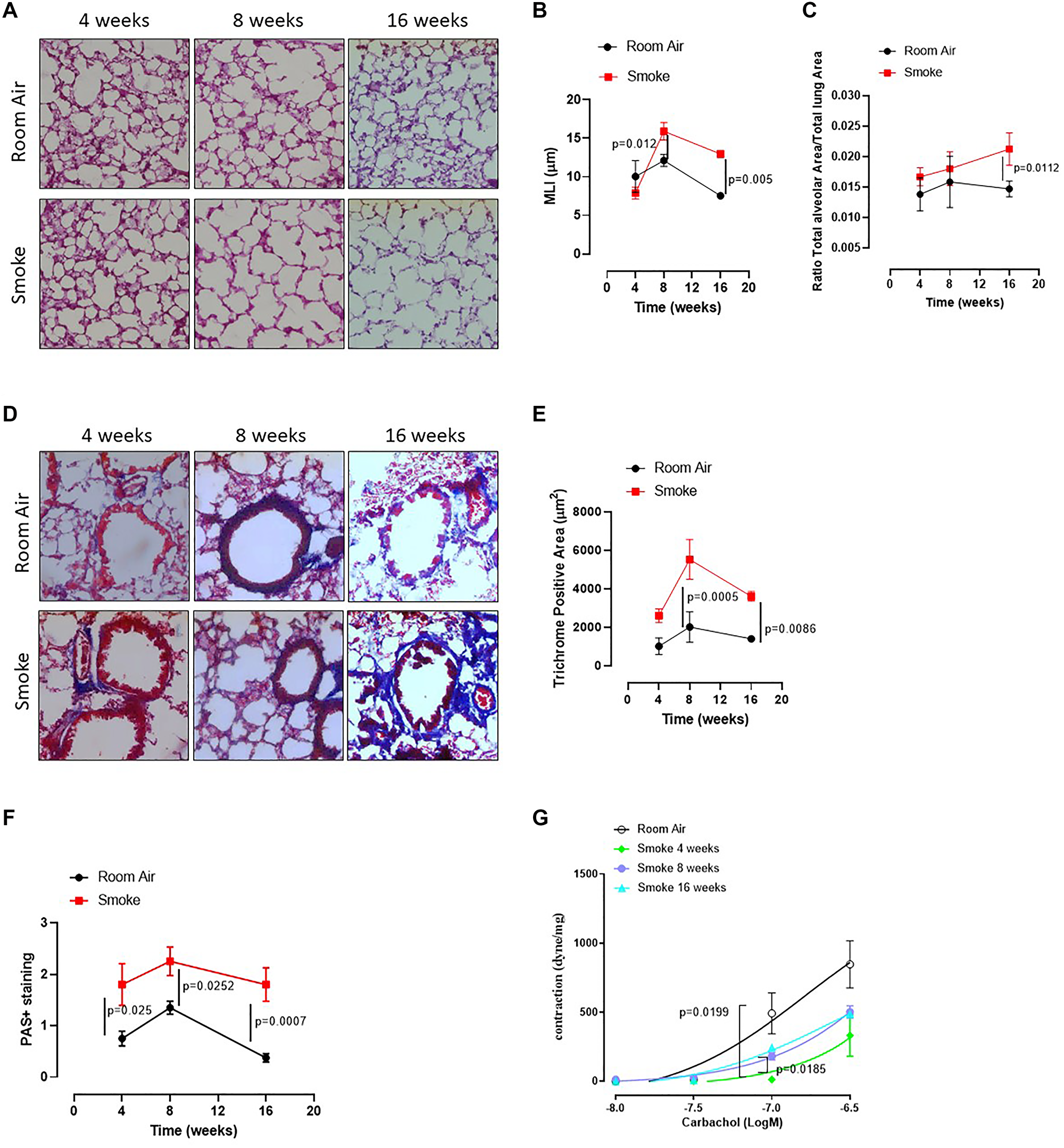 C57Bl/6 smoking mice presented COPD-like features