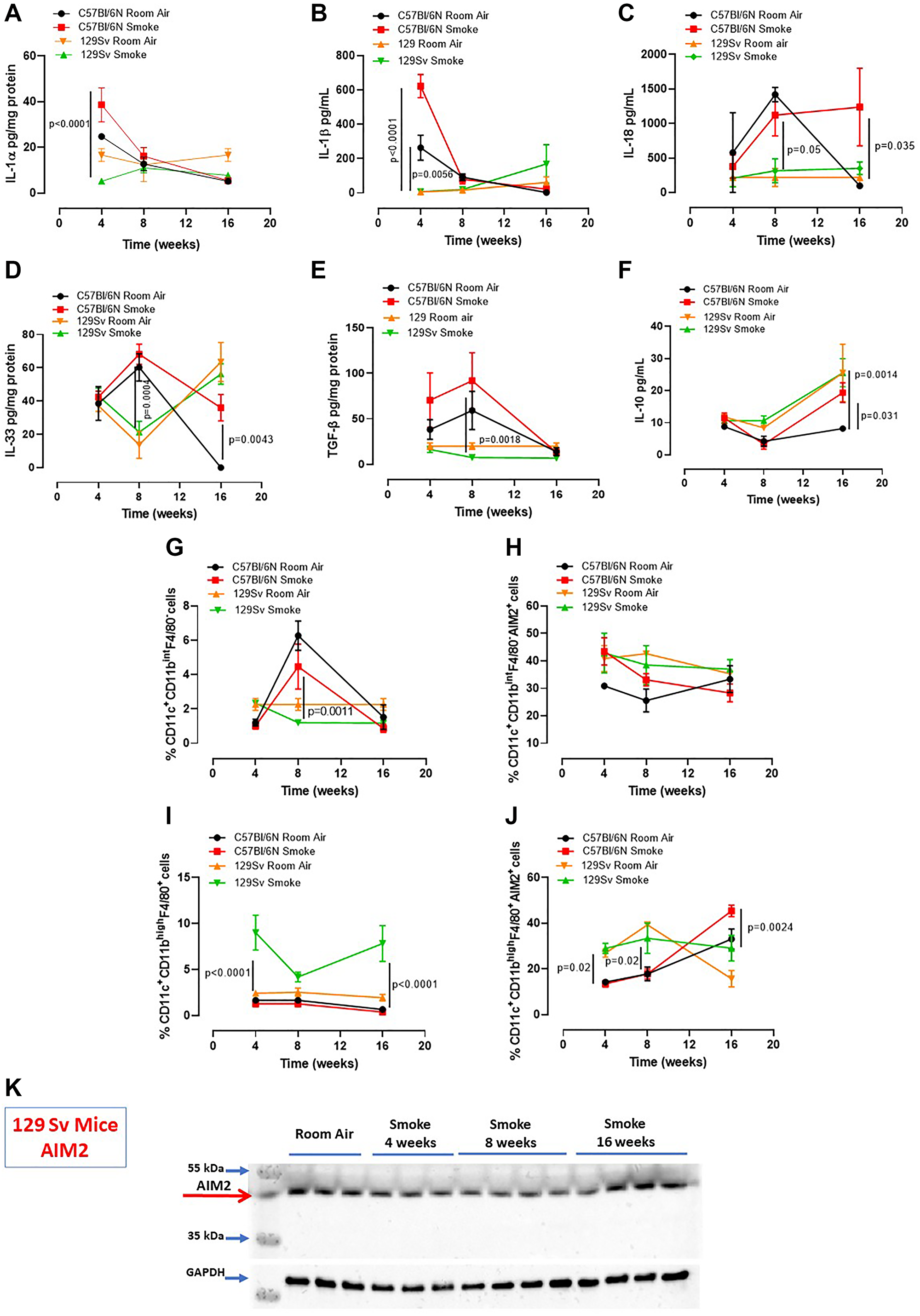 Smoking 129Sv mice had less lung inflammation than C57Bl/6N mice