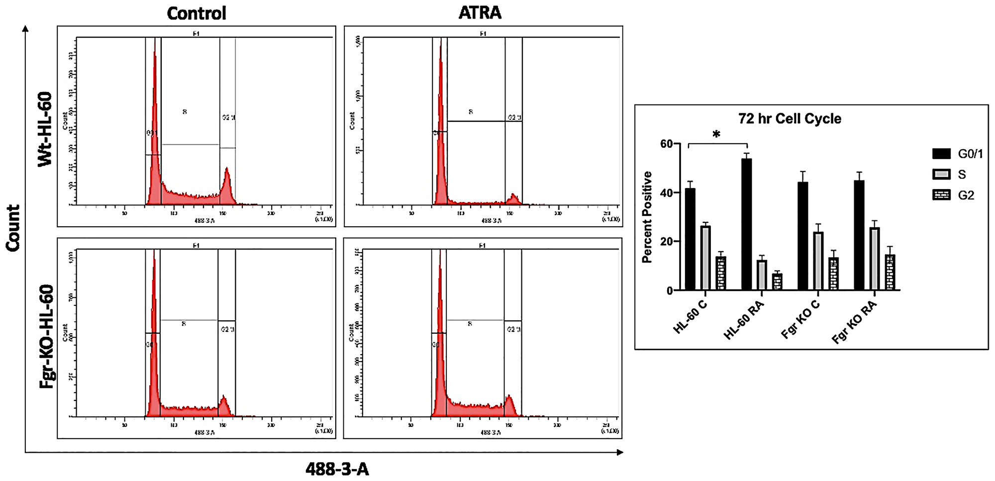 Cell cycle analysis of HL-60 wt and Fgr KO cells showing Fgr KO failed to undergo G1/0 cell cycle arrest
