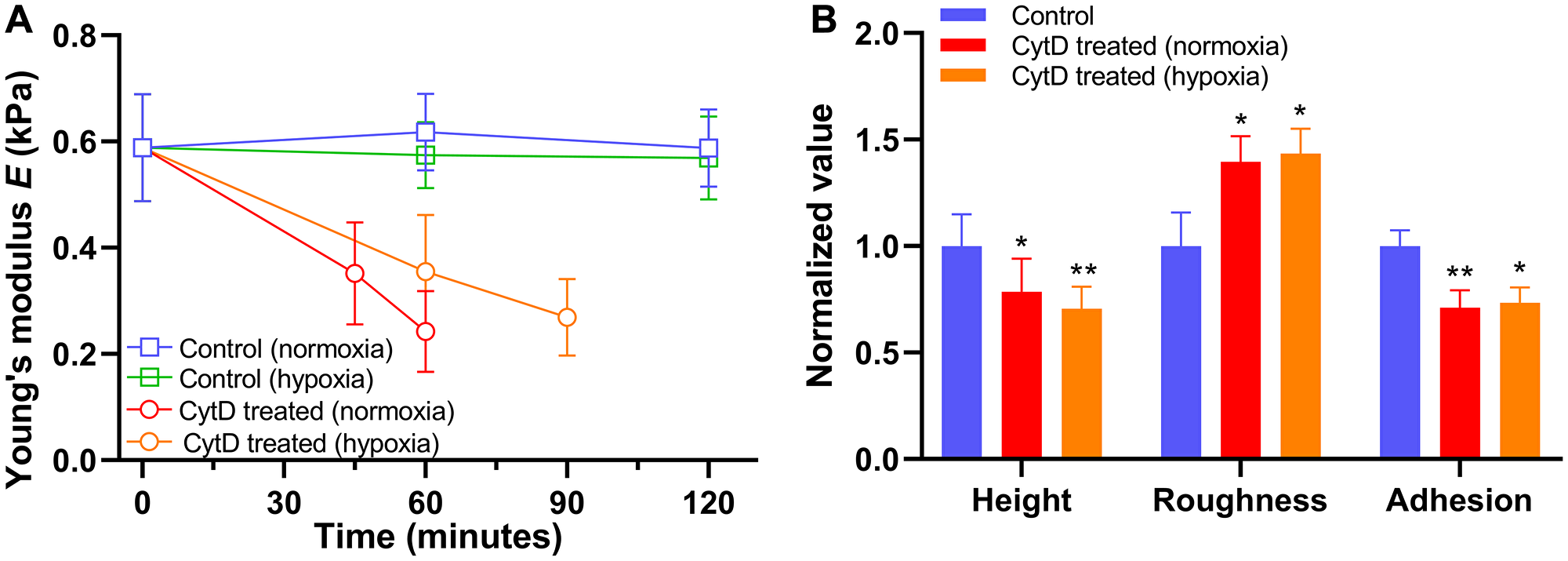 Alteration in biomechanical properties of PANC-1 cells exposed to 5 μM cytochalasin D (CytD) in normoxia and hypoxia