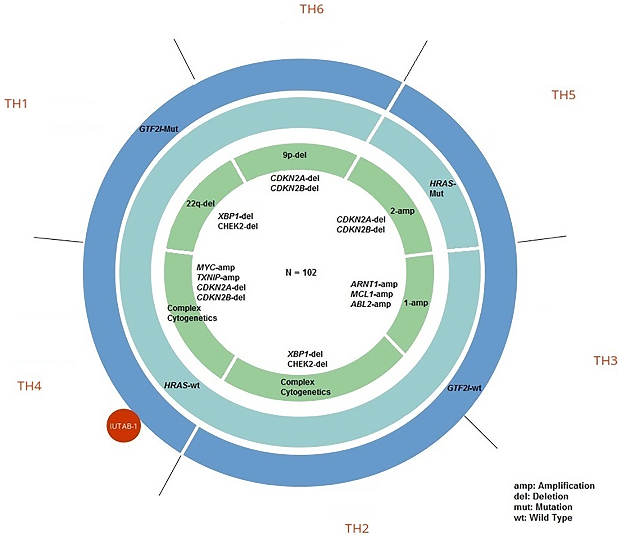 Genomic characteristics of thymic epithelial tumor (TET) molecular subtypes