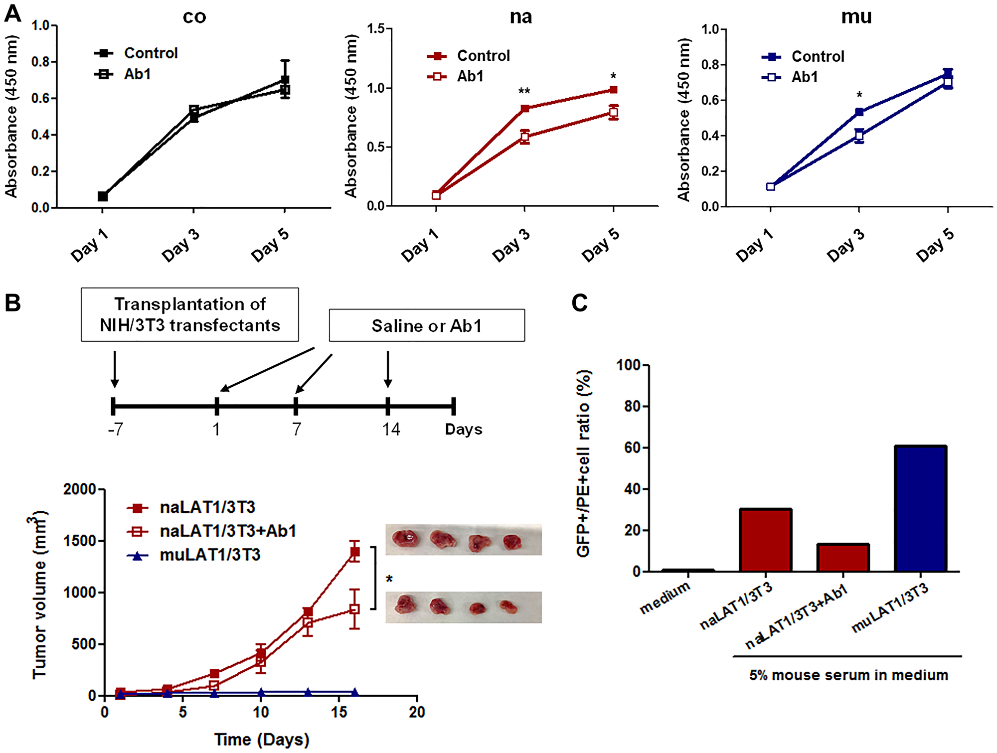 Effects of anti-LAT1 (Ab1) mAb on NIH/3T3 cell lines overexpressing LAT1, and mouse antibody production against NIH/3T3 cell lines expressing native or mutant human LAT1