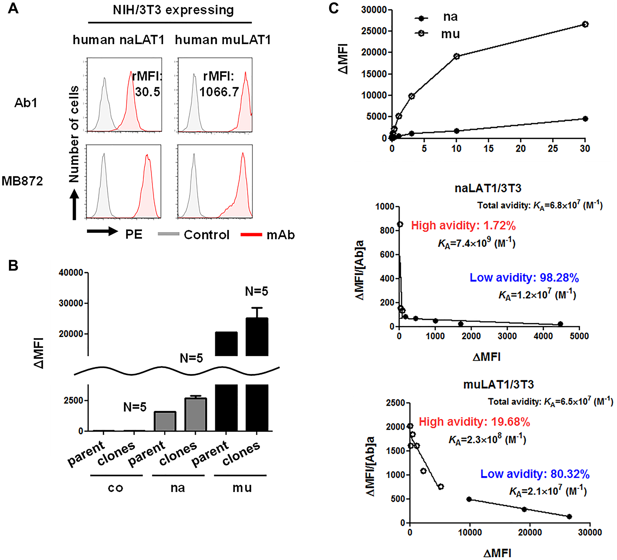 High-affinity binding of anti-LAT1 mAb against muLAT1/3T3 and CD98hc-independent cell-surface expression of LAT1 in human cells