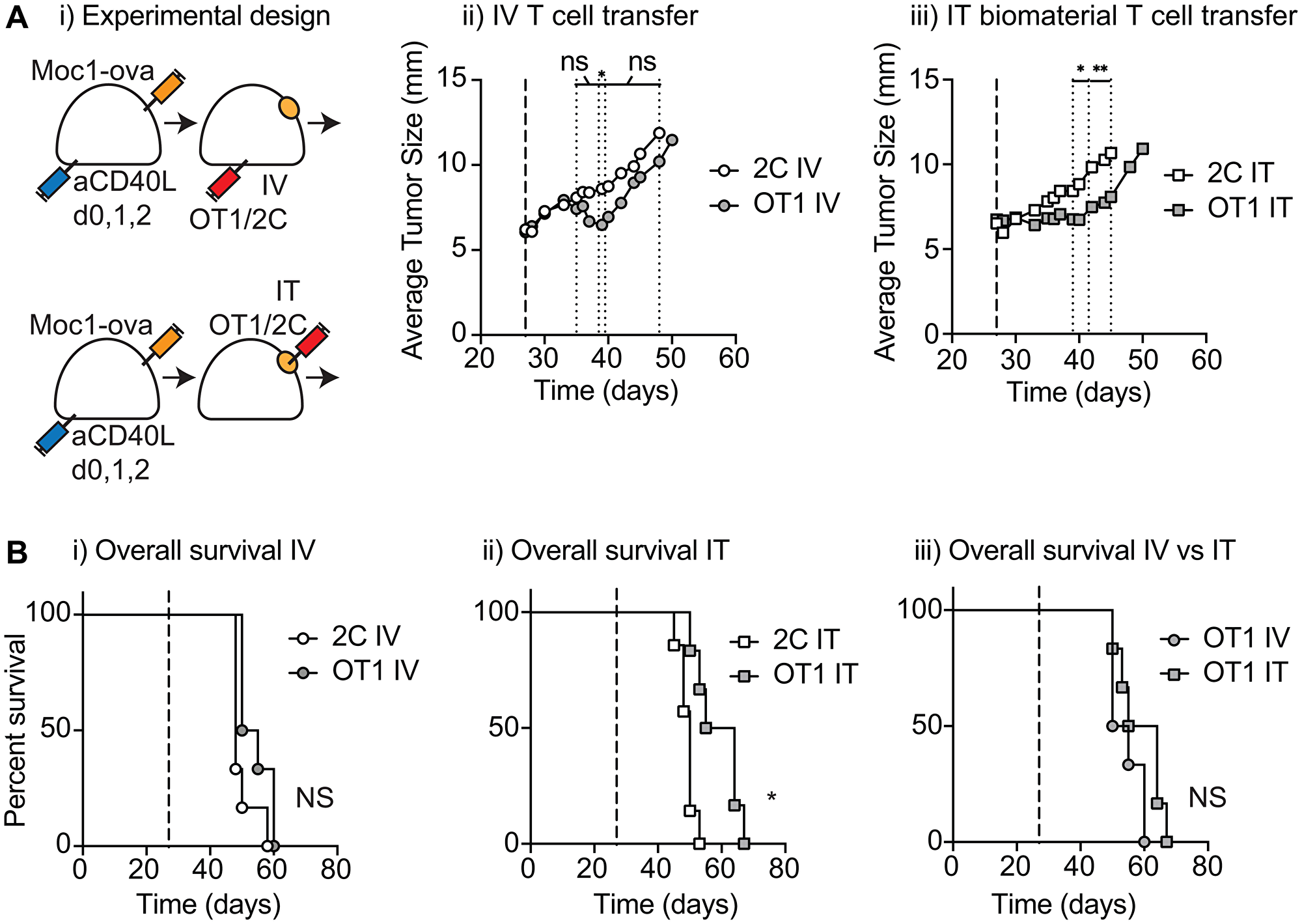 Tumor control following injection of antigen-specific T cell biomaterial