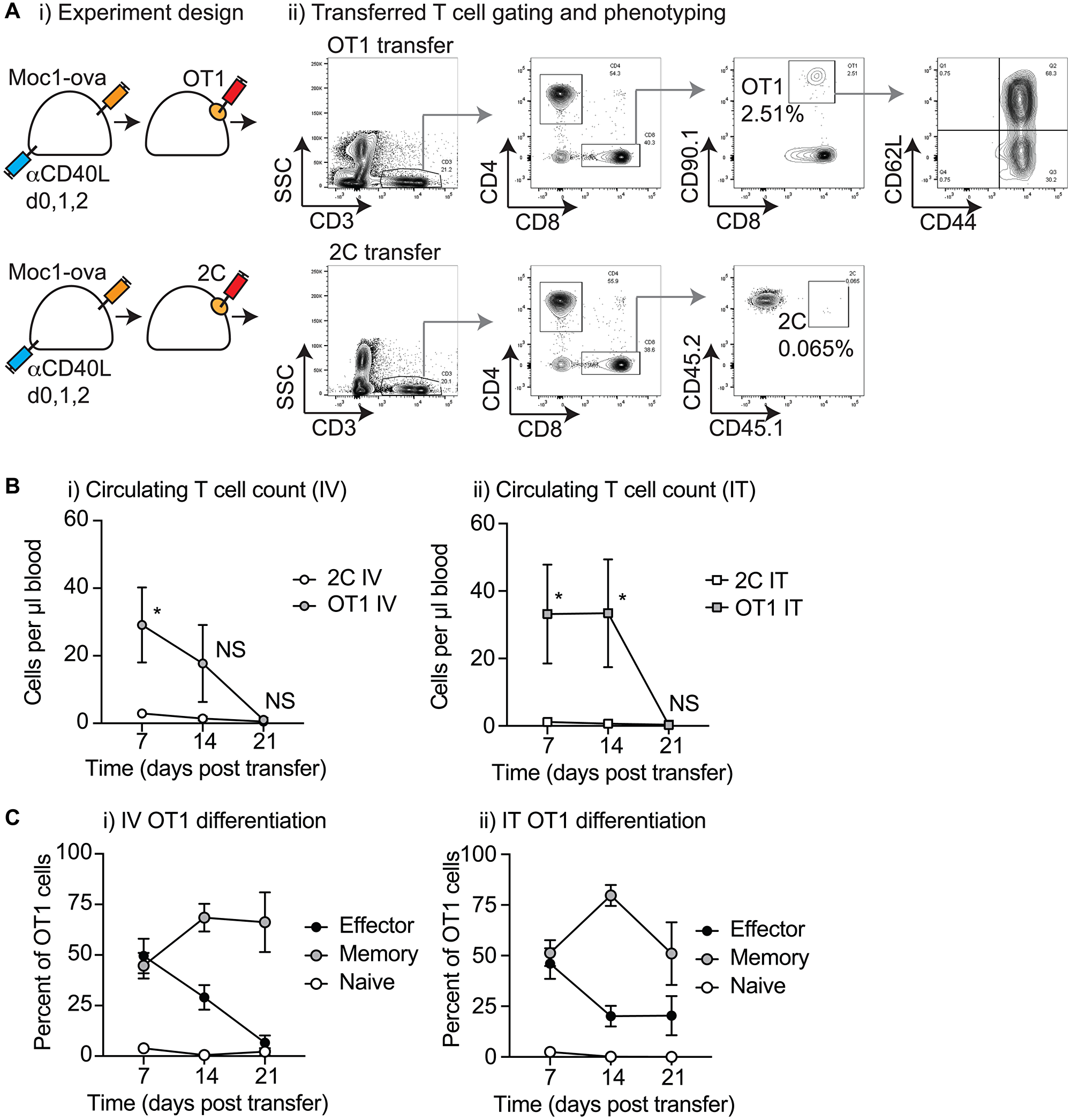 Characterization of circulating T-cells following biomaterial injection