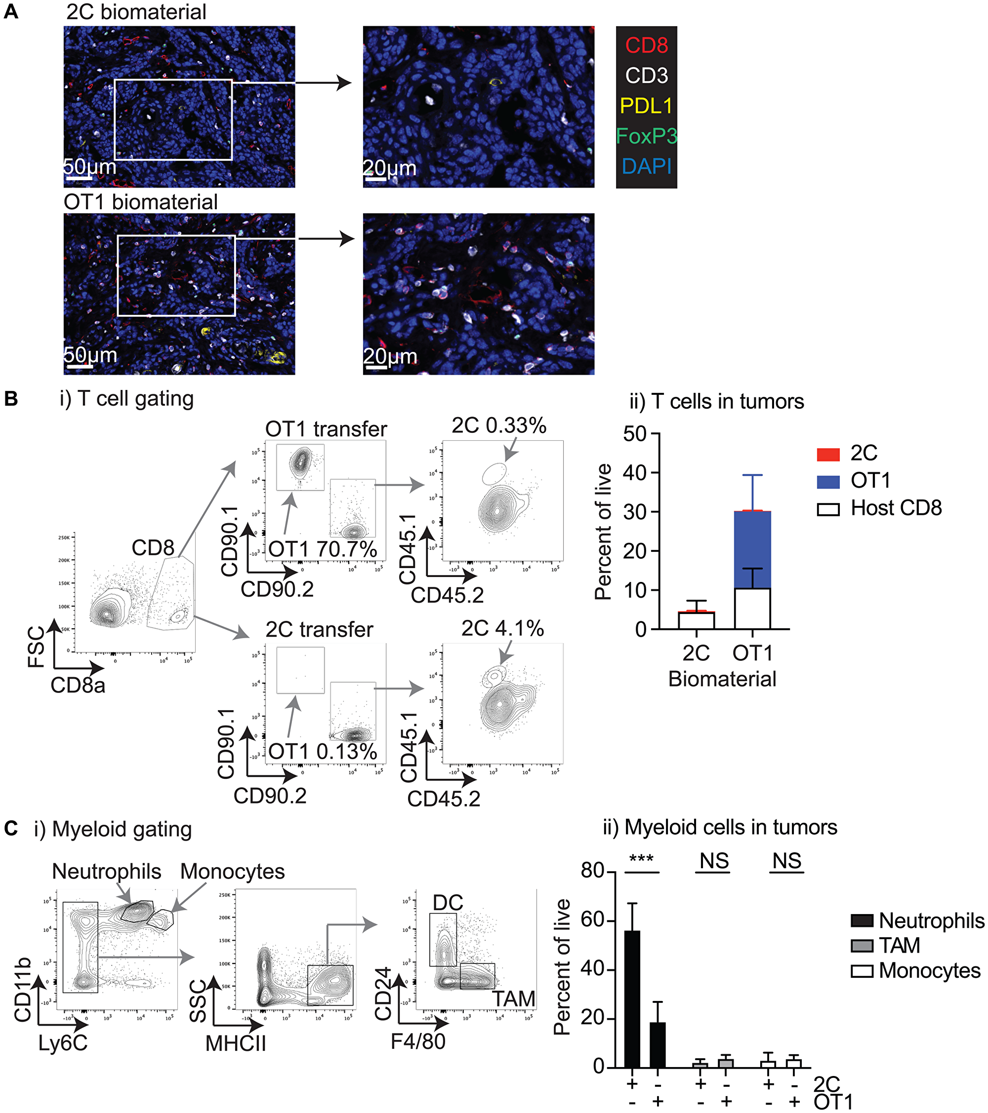 Characterization of the tumor environment following biomaterial injection