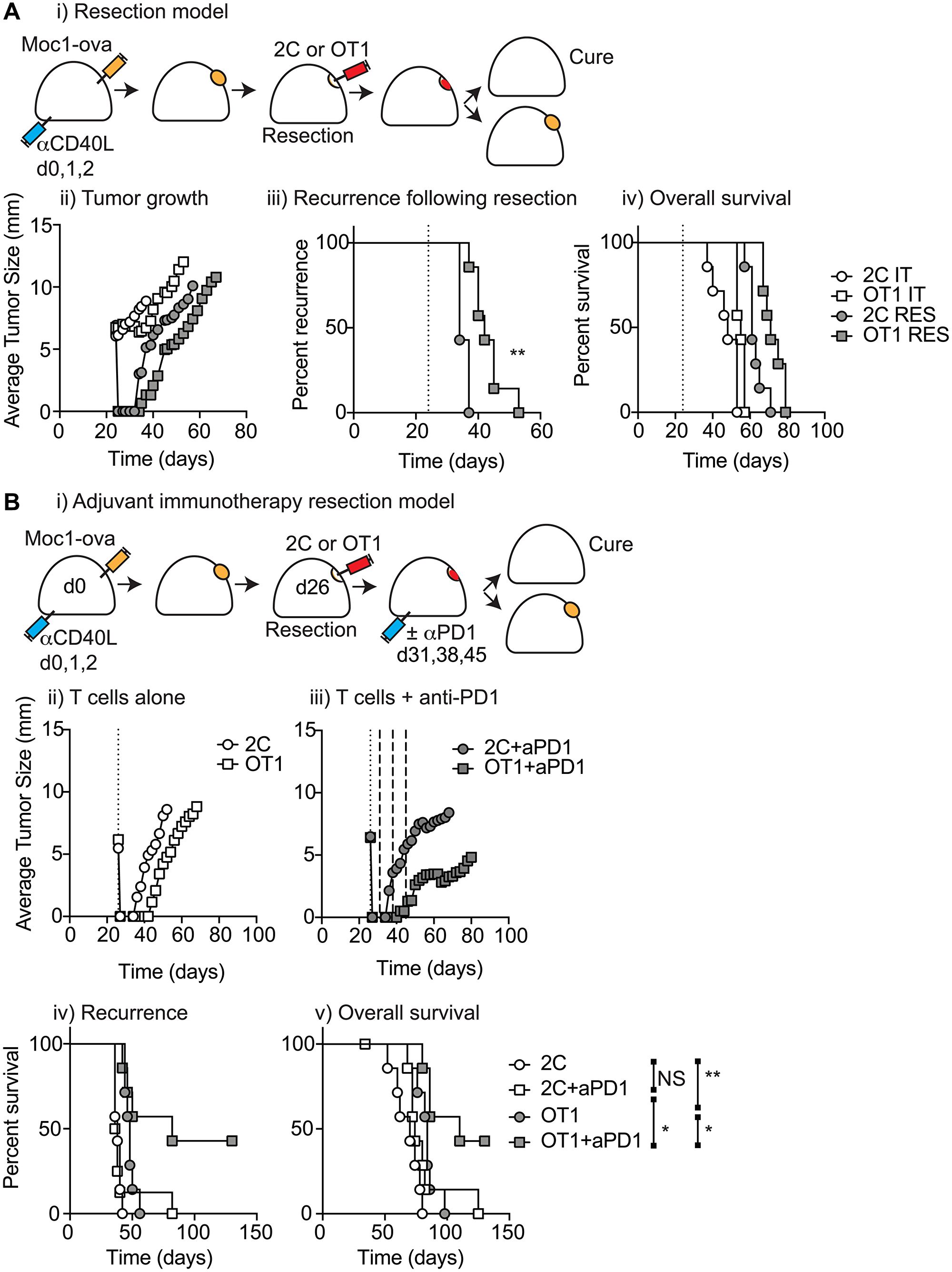 T-cell biomaterial control of recurrence following surgical resection