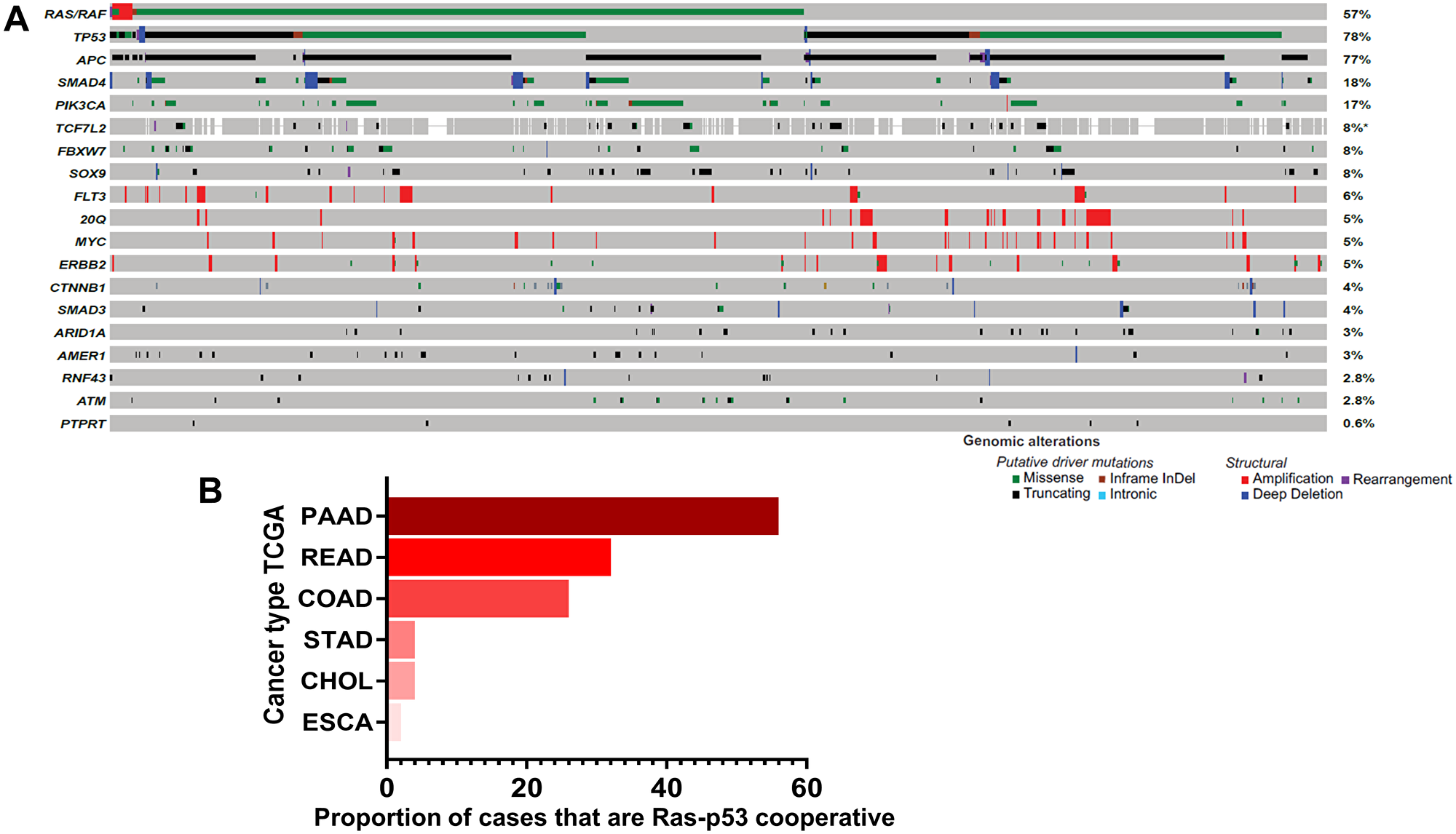 Ras-p53 genomic cooperativity in gastrointestinal cancer