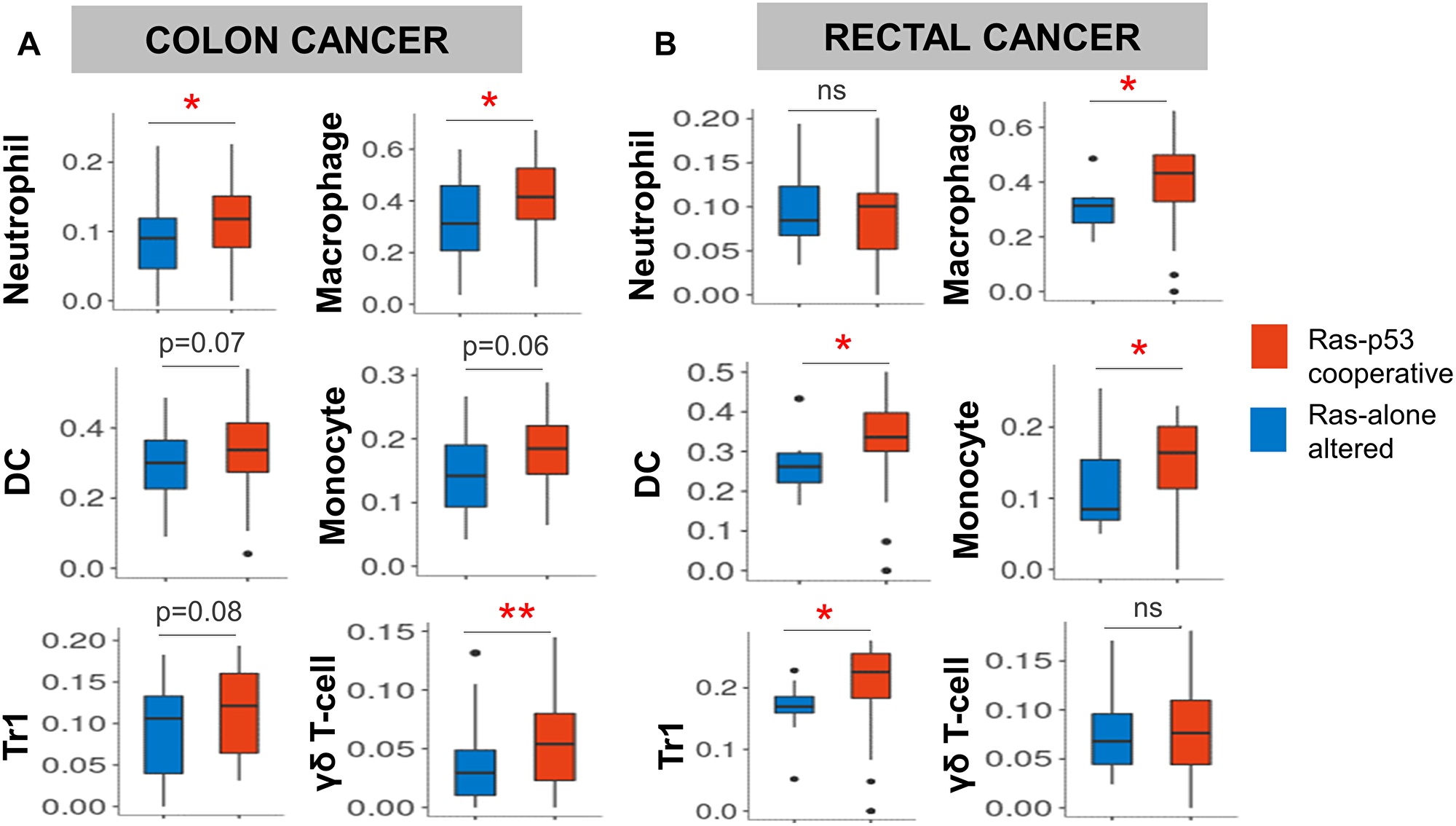 Ras-p53 cooperative mutations in rectal and colon cancer are associated with an innate immunoregulatory phenotype
