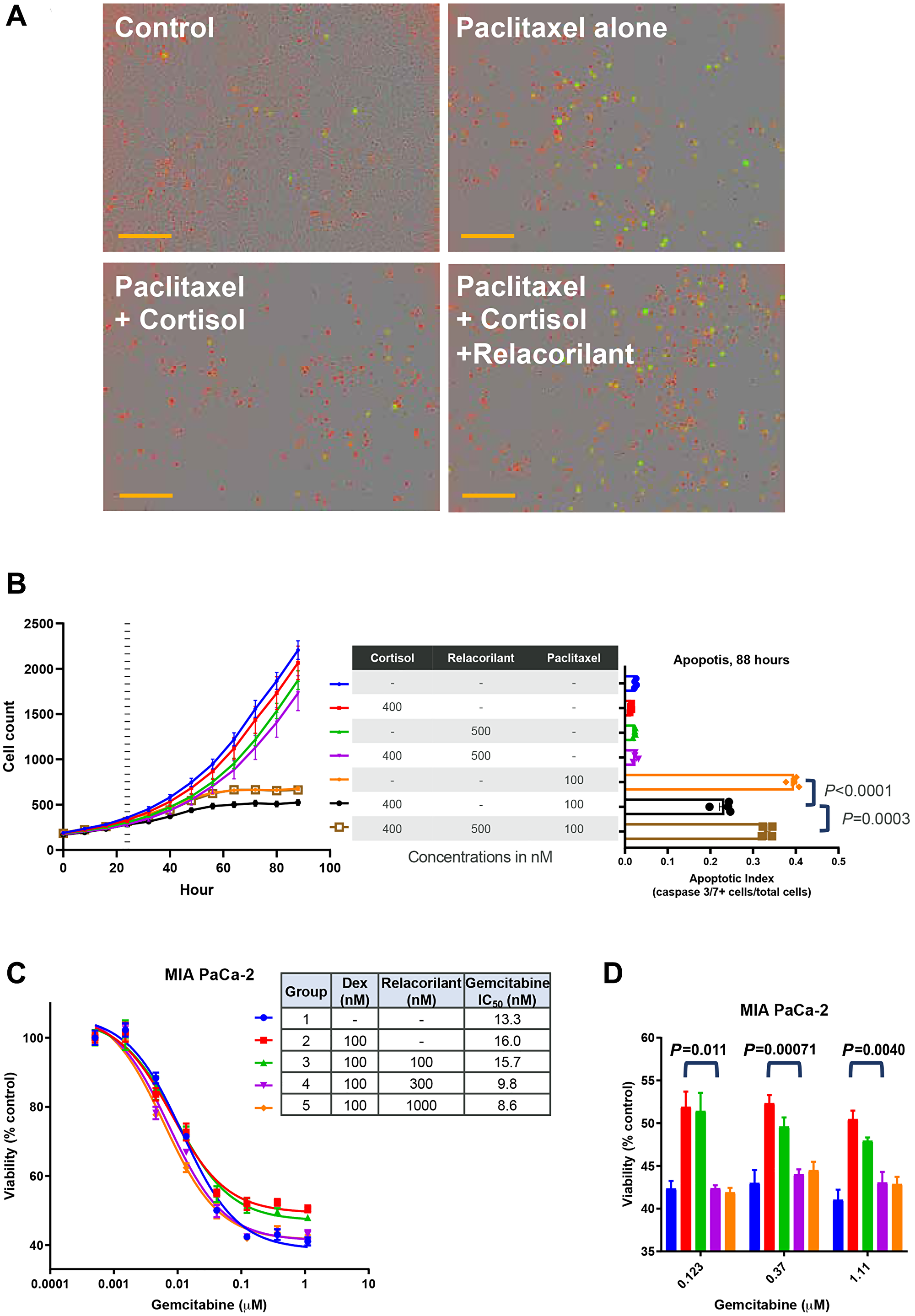 Apoptotic effects of paclitaxel and gemcitabine are suppressed by cortisol and restored by relacorilant in vitro