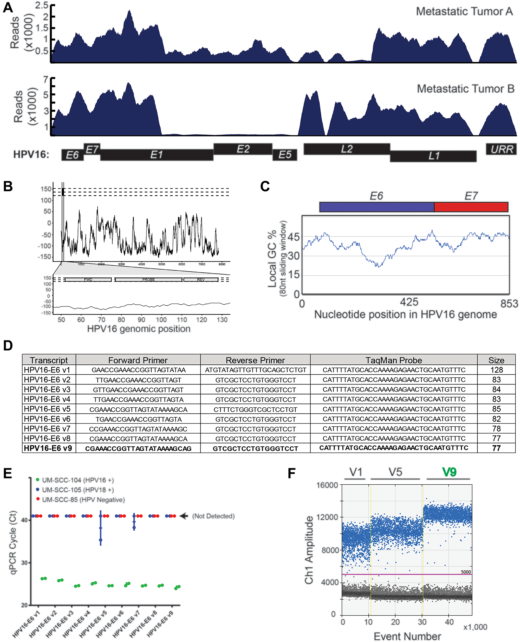 HPV16 plasma ctDNA assay development