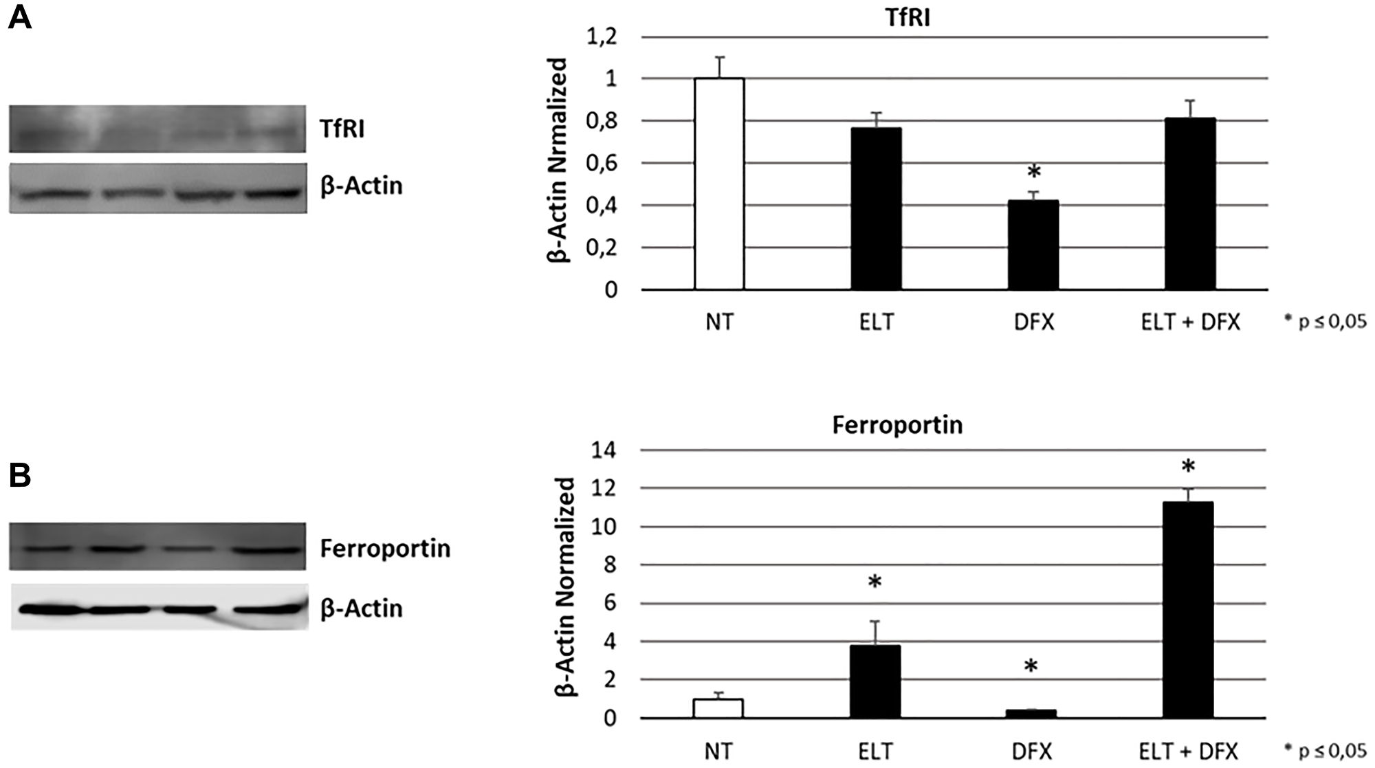 Effect of ELT and DFX on iron metabolism mediators