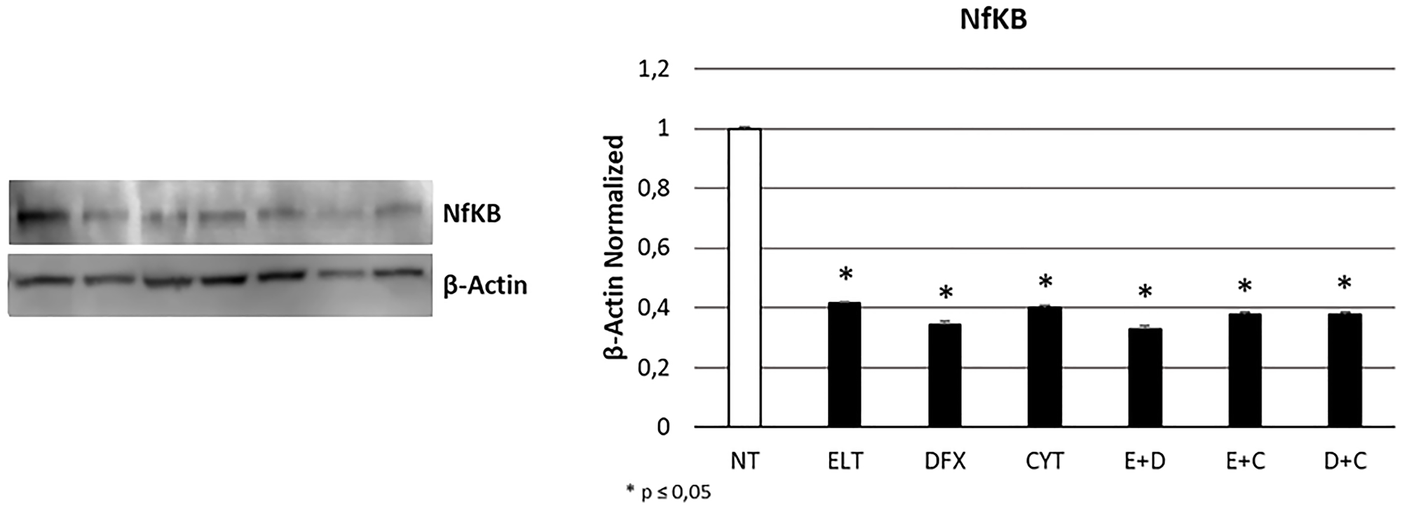 Effect of 48-hour treatments on proliferation