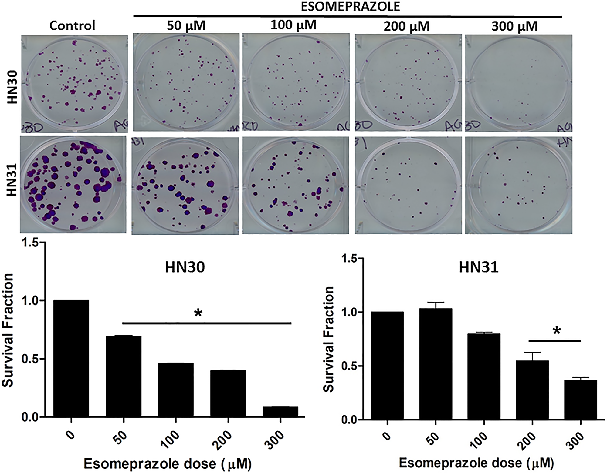 Esomeprazole inhibits the growth of head and neck cancer cells