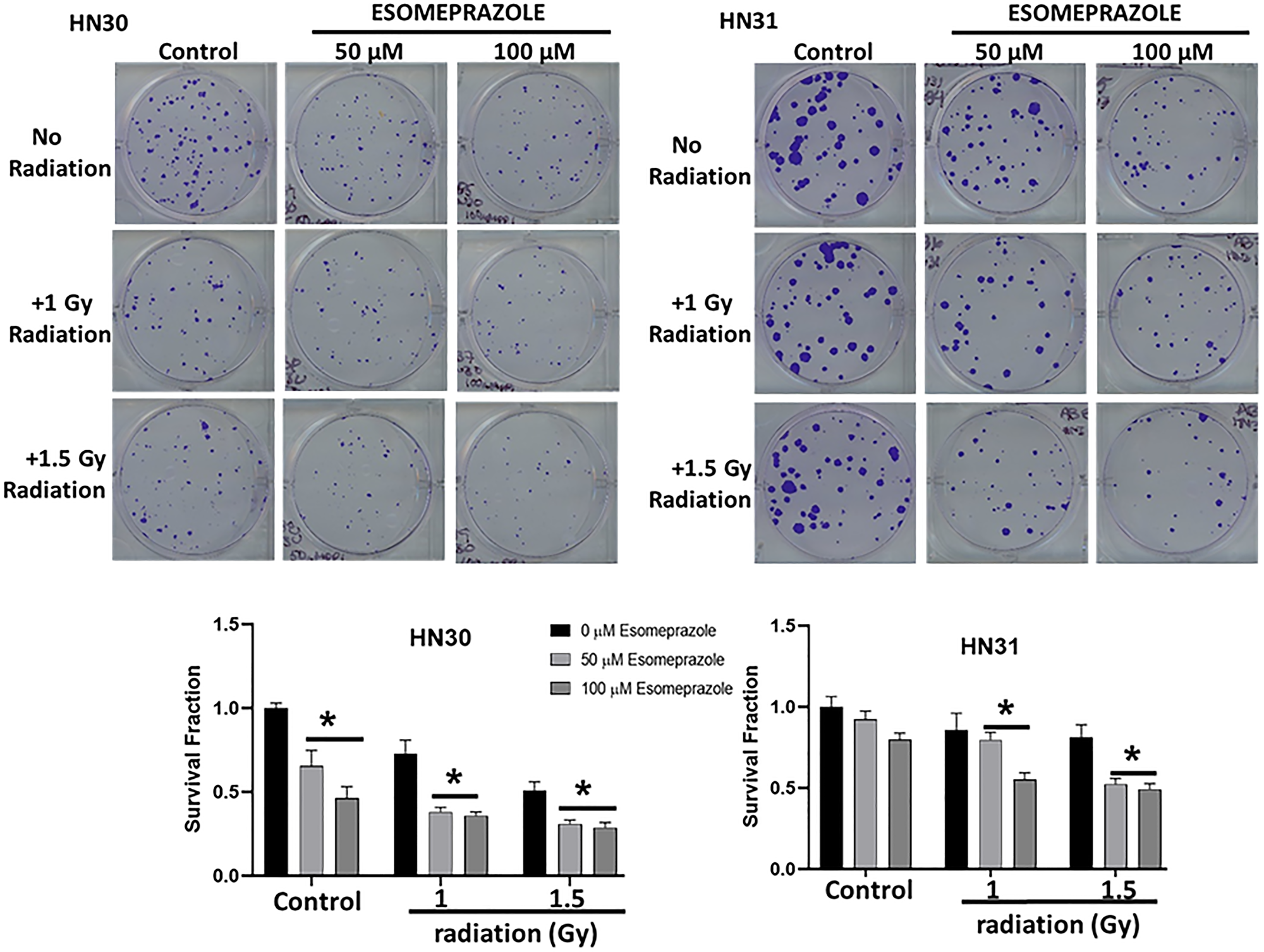 Esomeprazole enhances the effect of radiation to improve tumor control in vitro