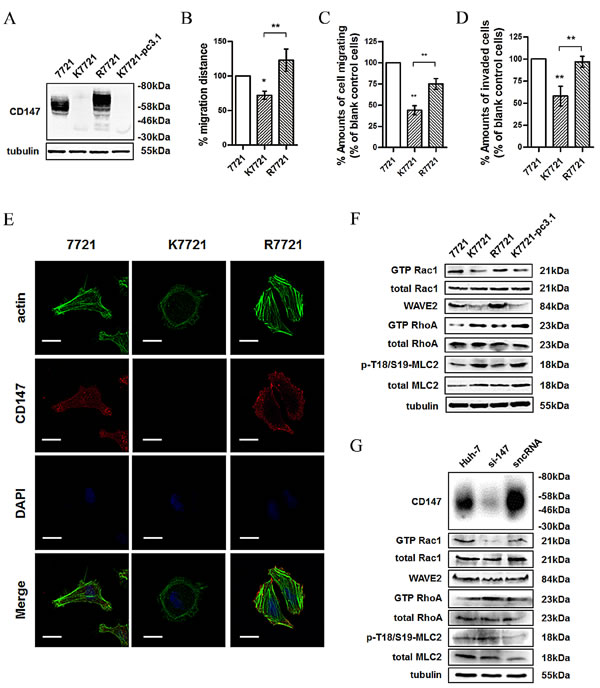 fig1