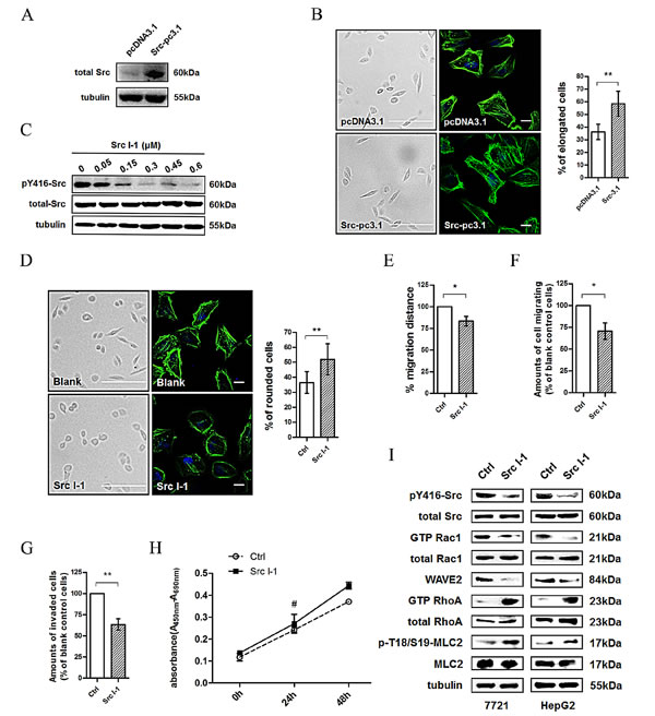 fig2