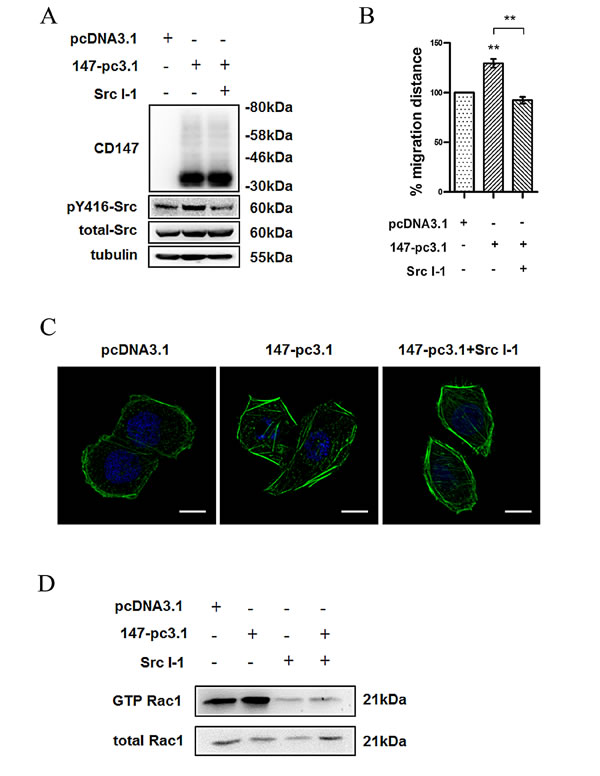 fig3