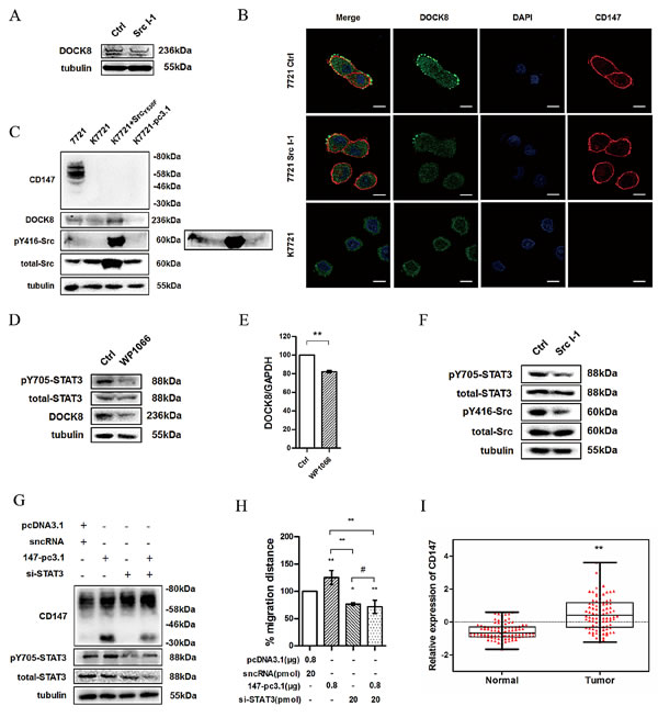 fig6