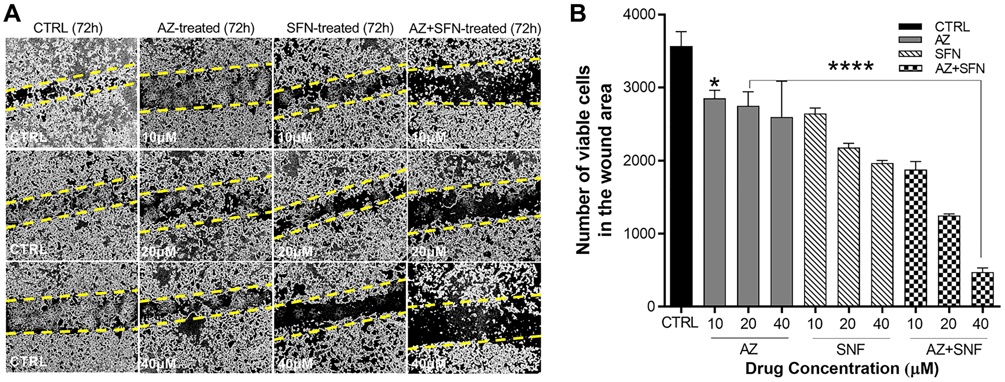 AZ, SFN, and the combination of AZ+SFN dose-dependently block the wound closure ability of typical H727 BC cells using the scratch wound assay