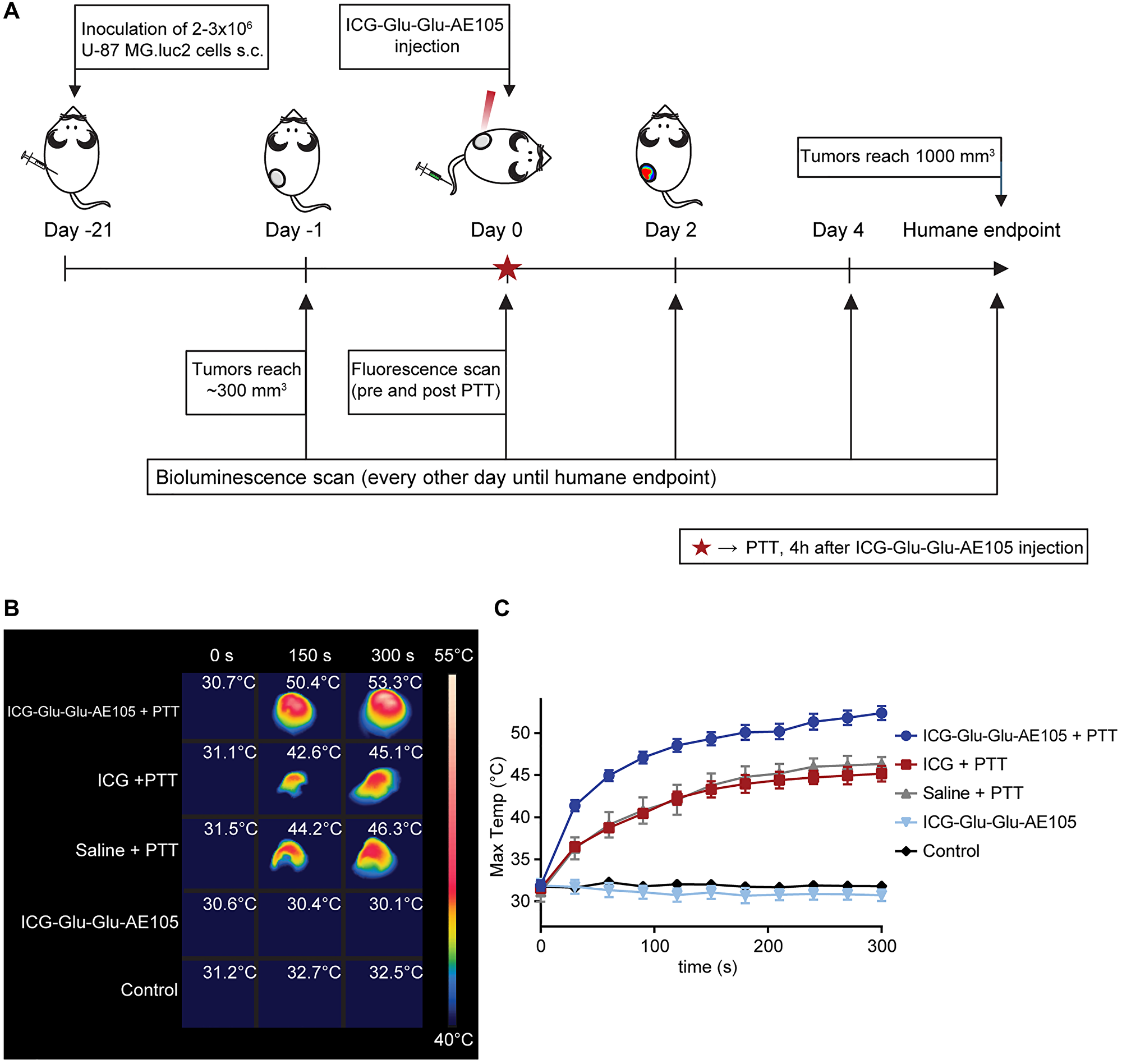 ICG-Glu-Glu-AE105 as photothermal agent in vivo