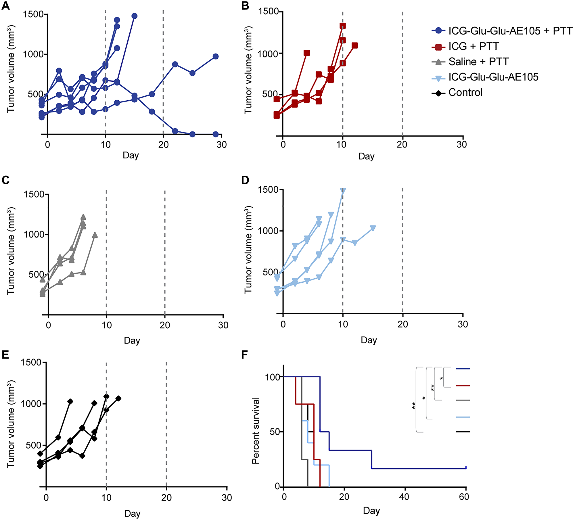 Tumor growth and survival after ICG-Glu-Glu-AE105-based PTT