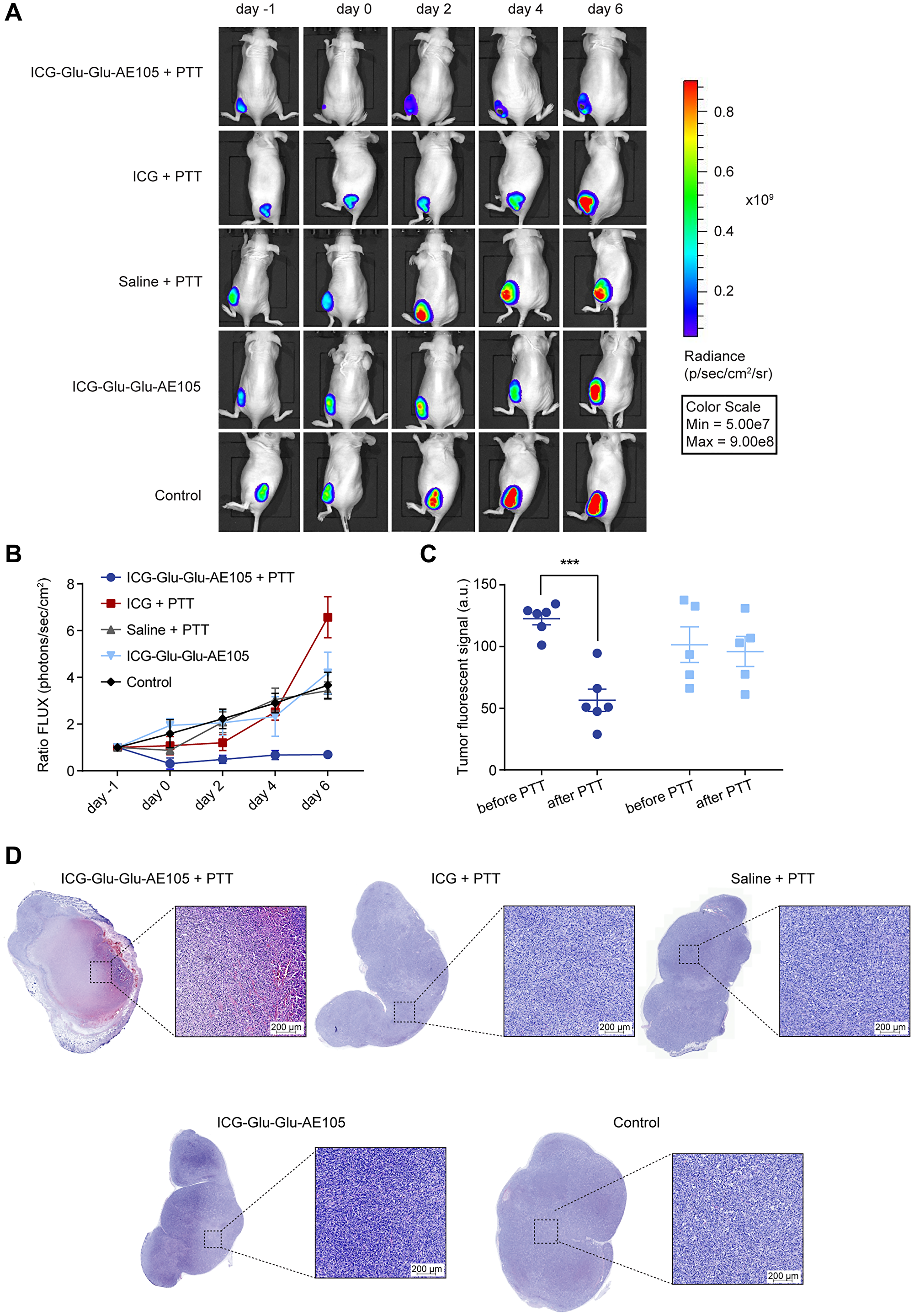 Bioluminescence signal after PTT