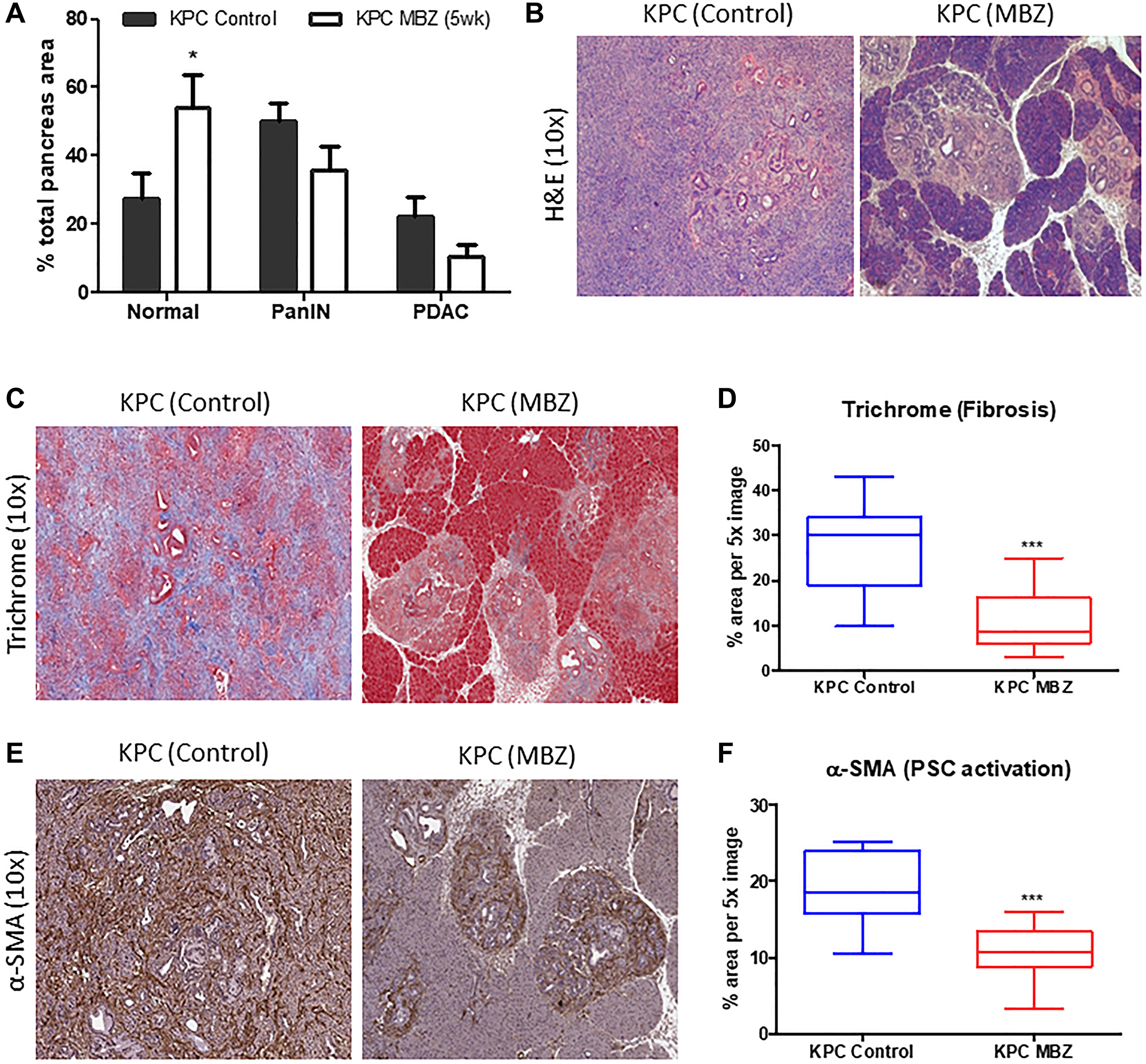 Mebendazole reduced areas of PanIN and PDAC formation and stromal desmoplasia in an aggressive model of pancreatic cancer