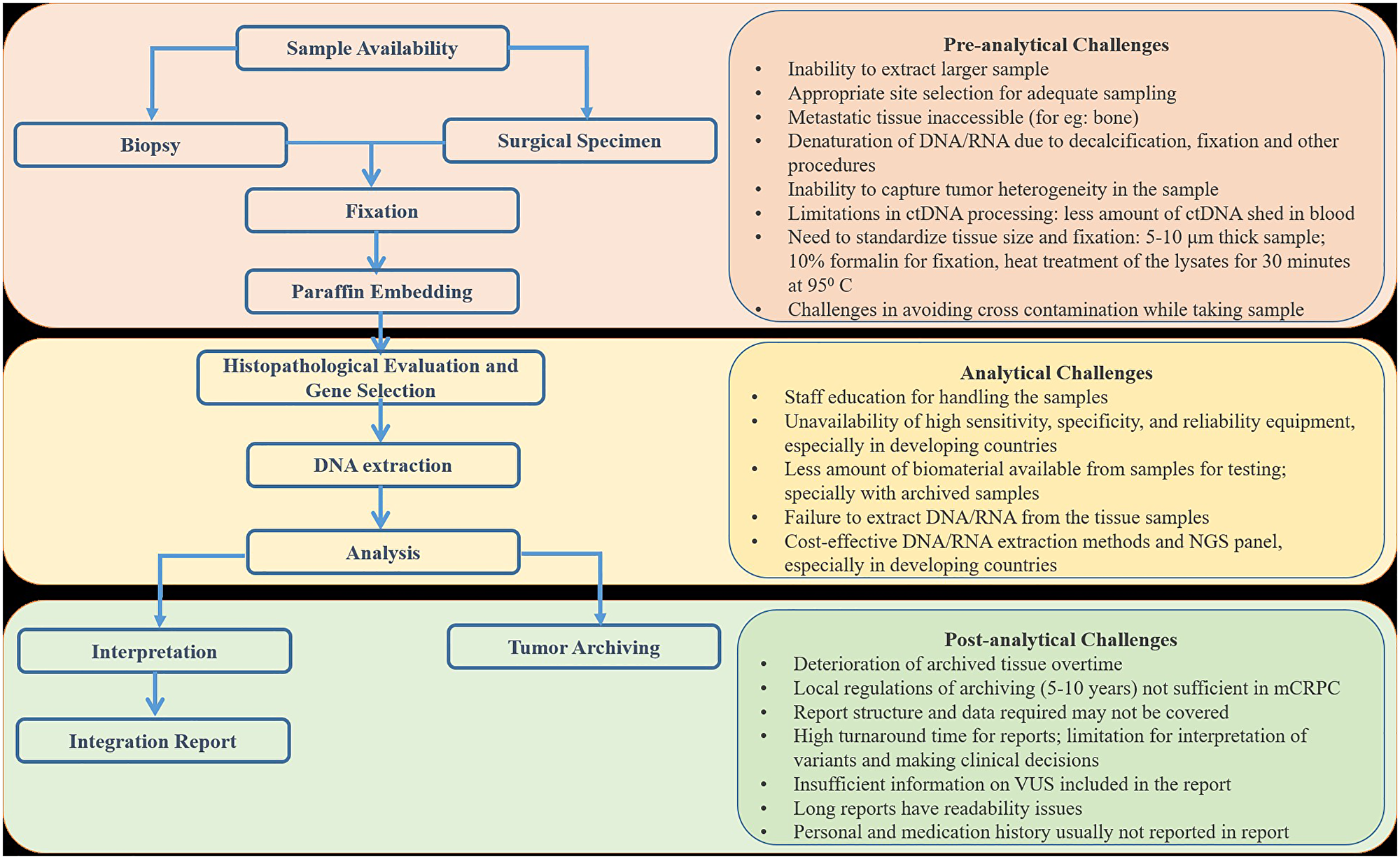 Flow of sample during genetic testing and challenges associated with each stage in LMICs