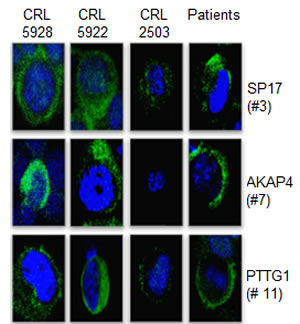fig3