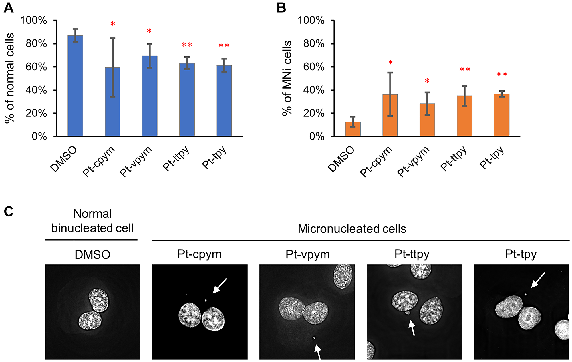 Micronucleus formation in HT1080 cells after treatment by Pt-tpy and its three derivatives, Pt-cpym, Pt-vpym and Pt-ttpy