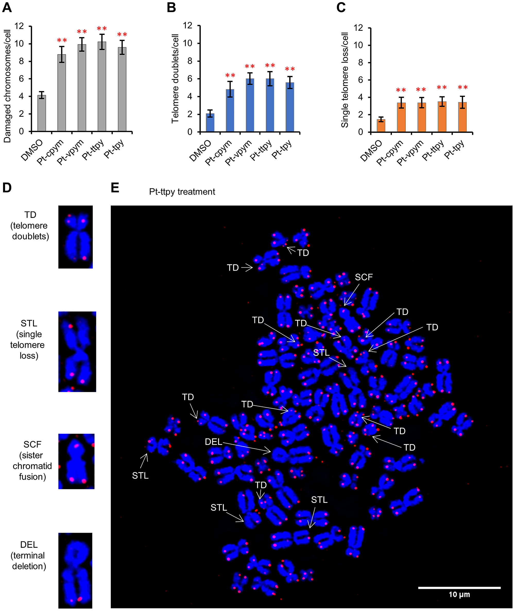 Specific telomere aberrations in HT1080 cells induced by treatment of Pt-tpy and its derivatives, Pt-cpym, Pt-vpym and Pt-ttpy