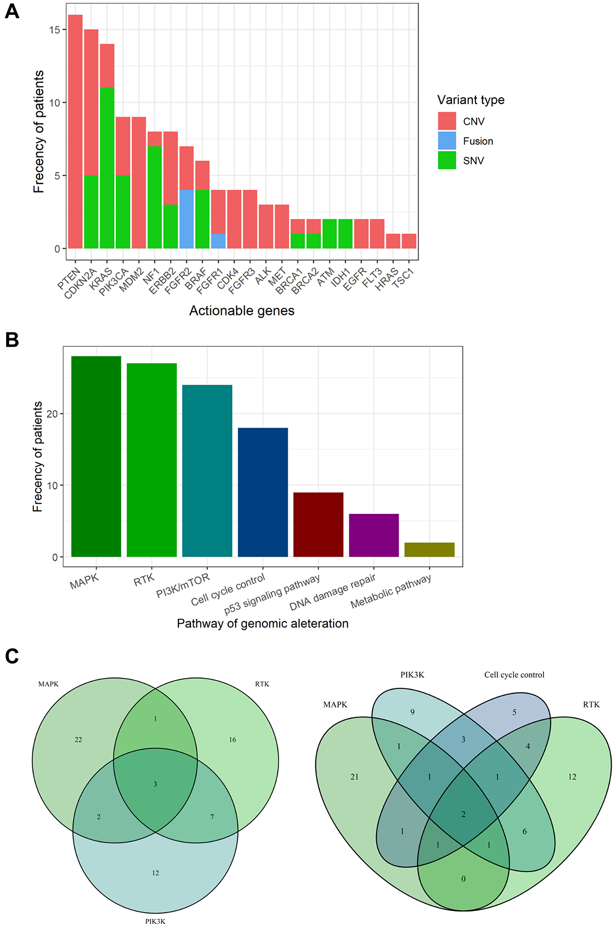 Actionable genes and pathways in biliary tract cancer