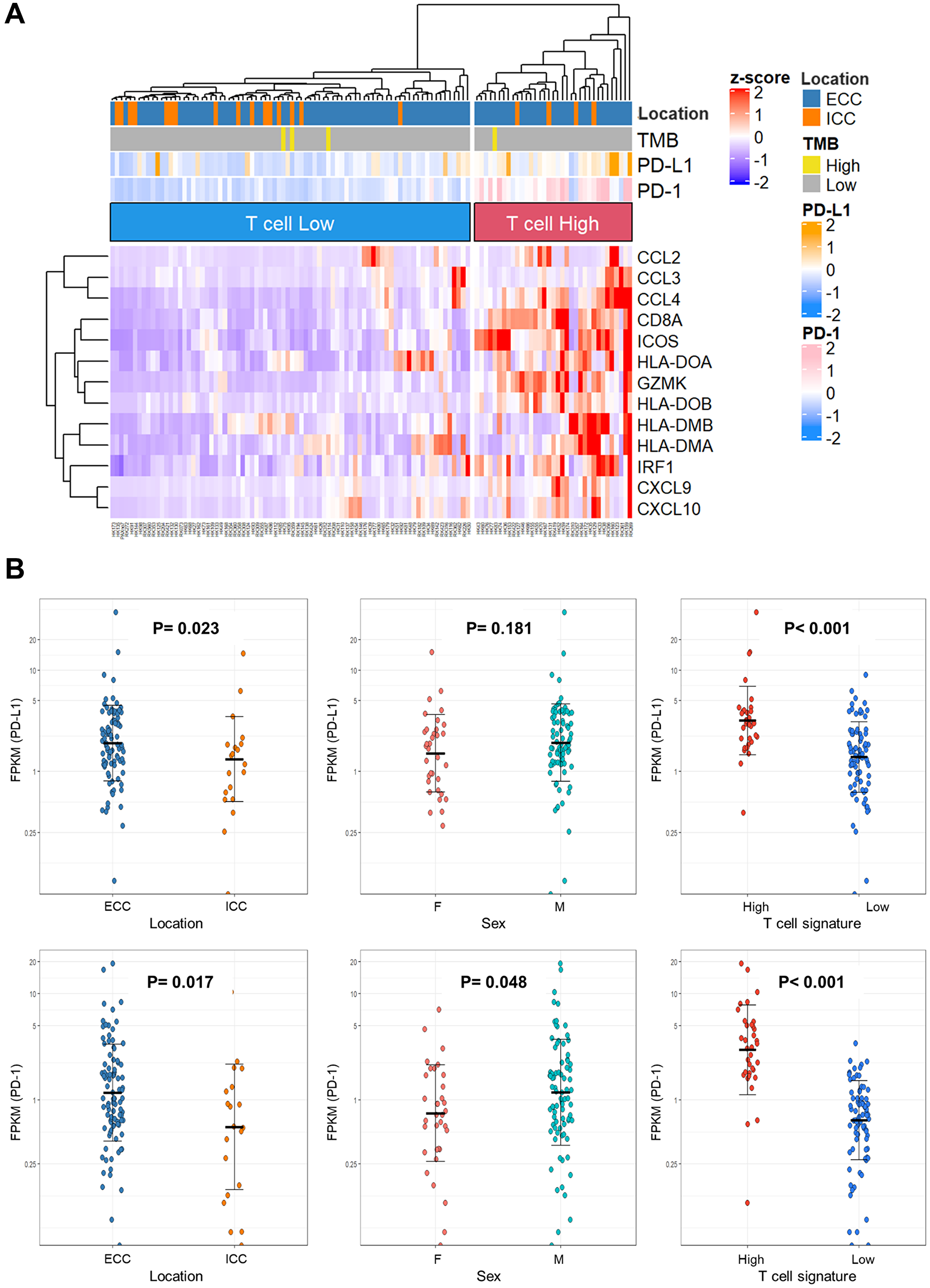 Immune-signature analysis of biliary tract cancer by RNA sequencing