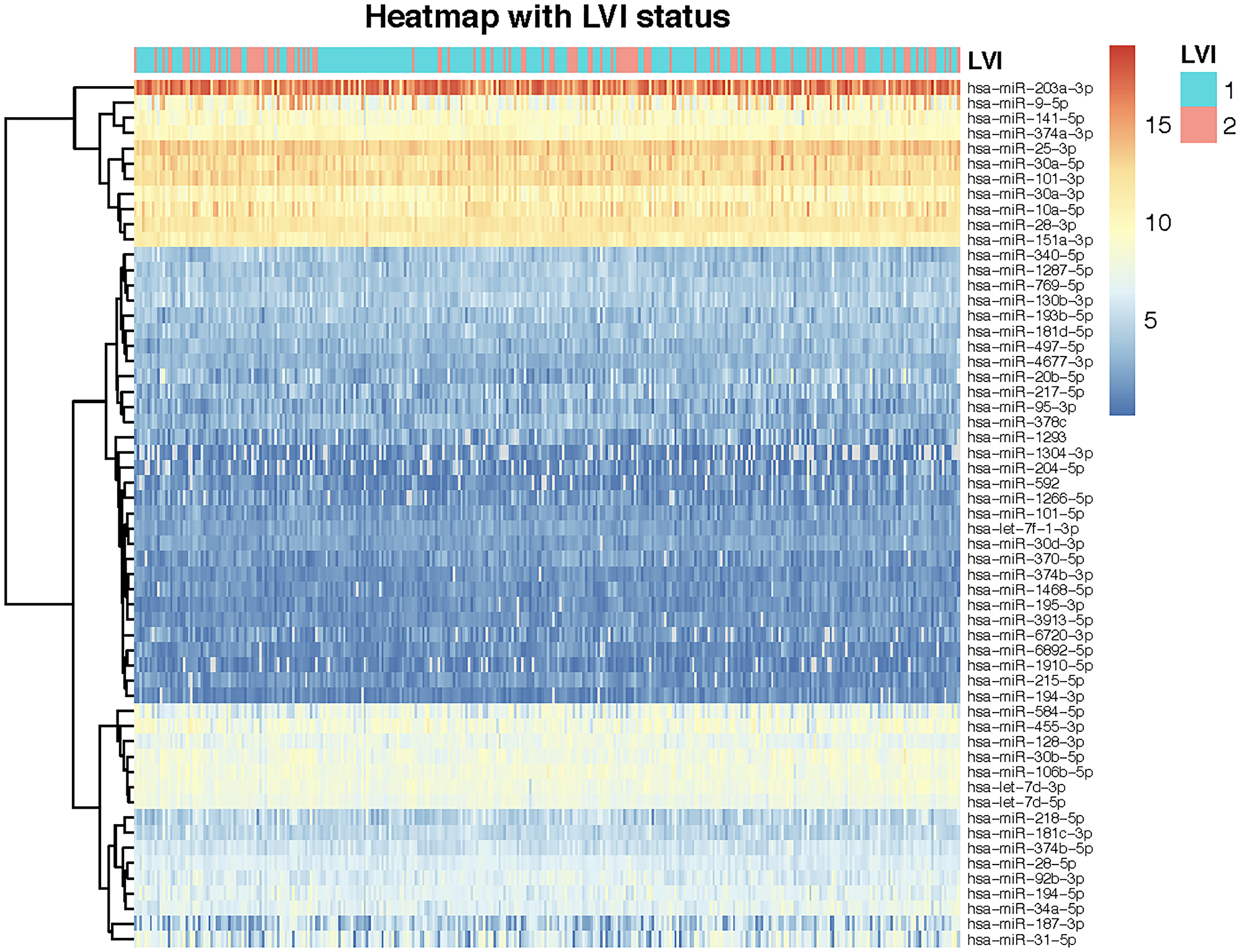 Heatmap of miRNA expressions for 324 patients showing unsupervised clustering of miRNAs