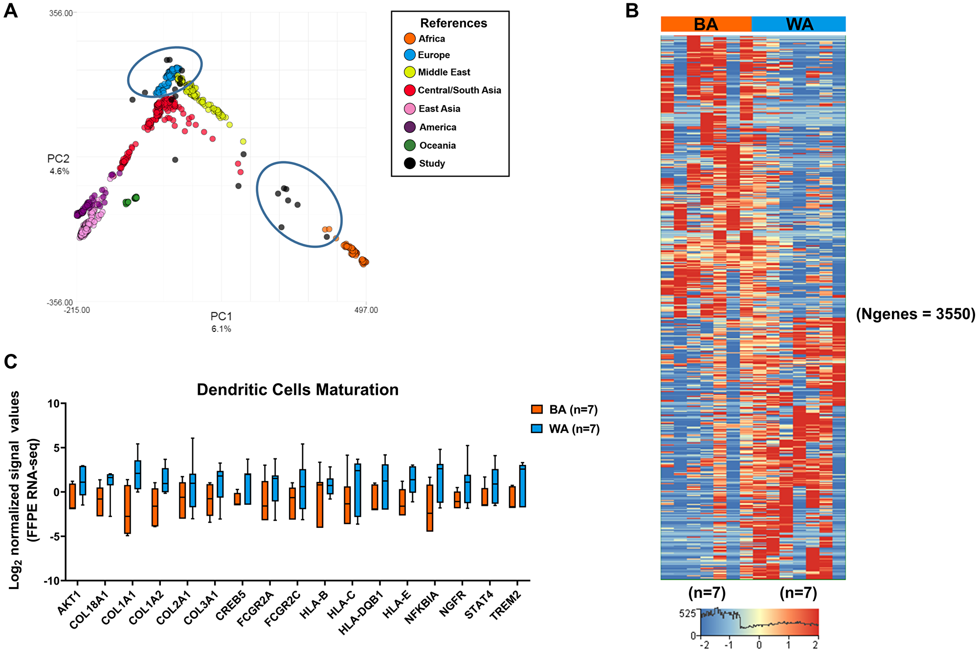 Differential gene expression in tumor-adjacent stroma (TAS) of Black American and White American PCa patients