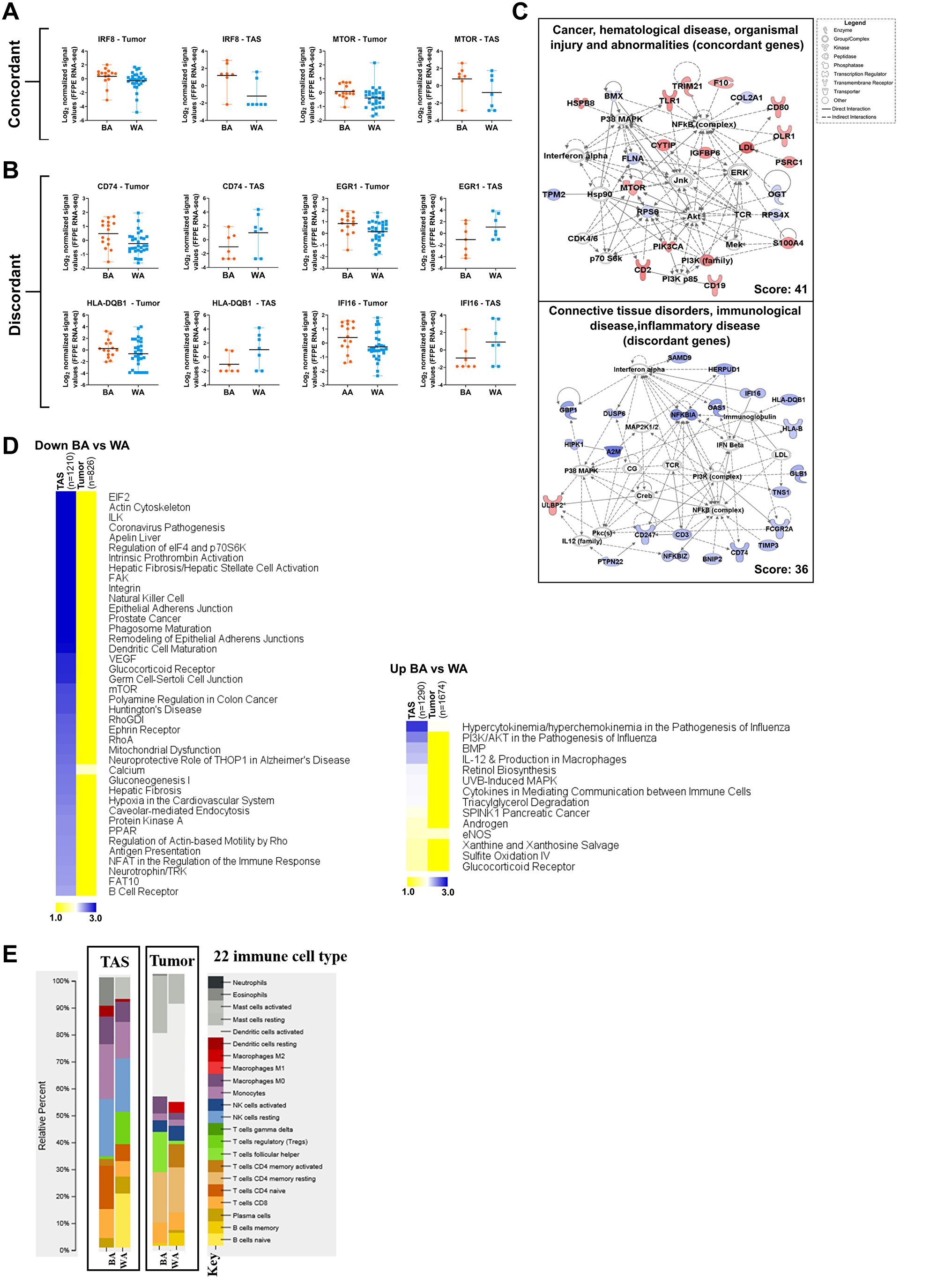 Comparative pathway analysis of significantly differentially expressed genes in BA versus WA PCa patients in tumor and tumor-adjacent stroma (TAS)