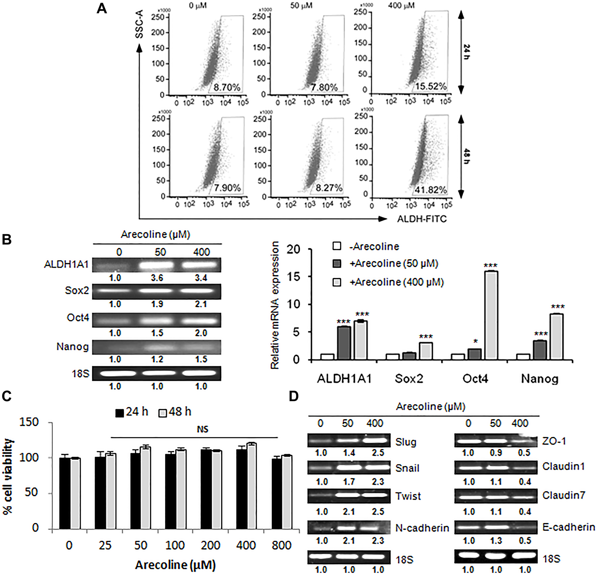 Arecoline augments stemness acquisition in HNSCC